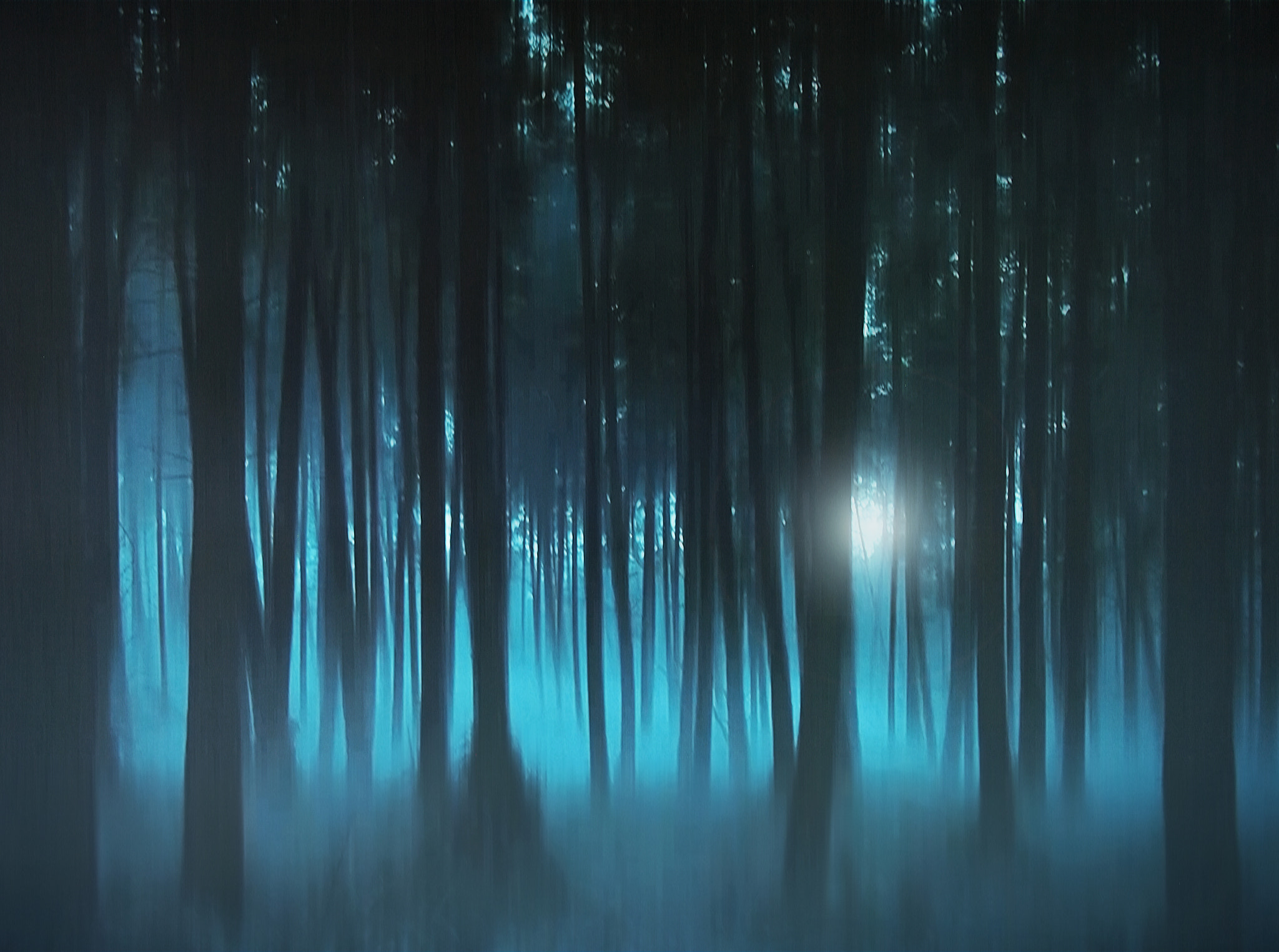 Olympus PEN E-P1 sample photo. A walk in the blue forest photography