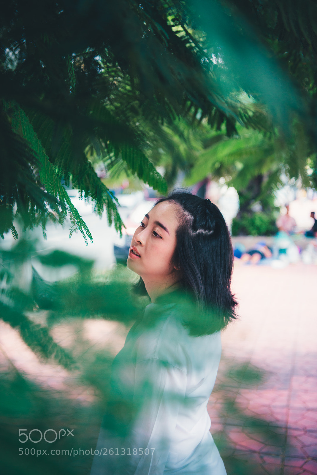 Nikon D800E sample photo. My wife and her photography