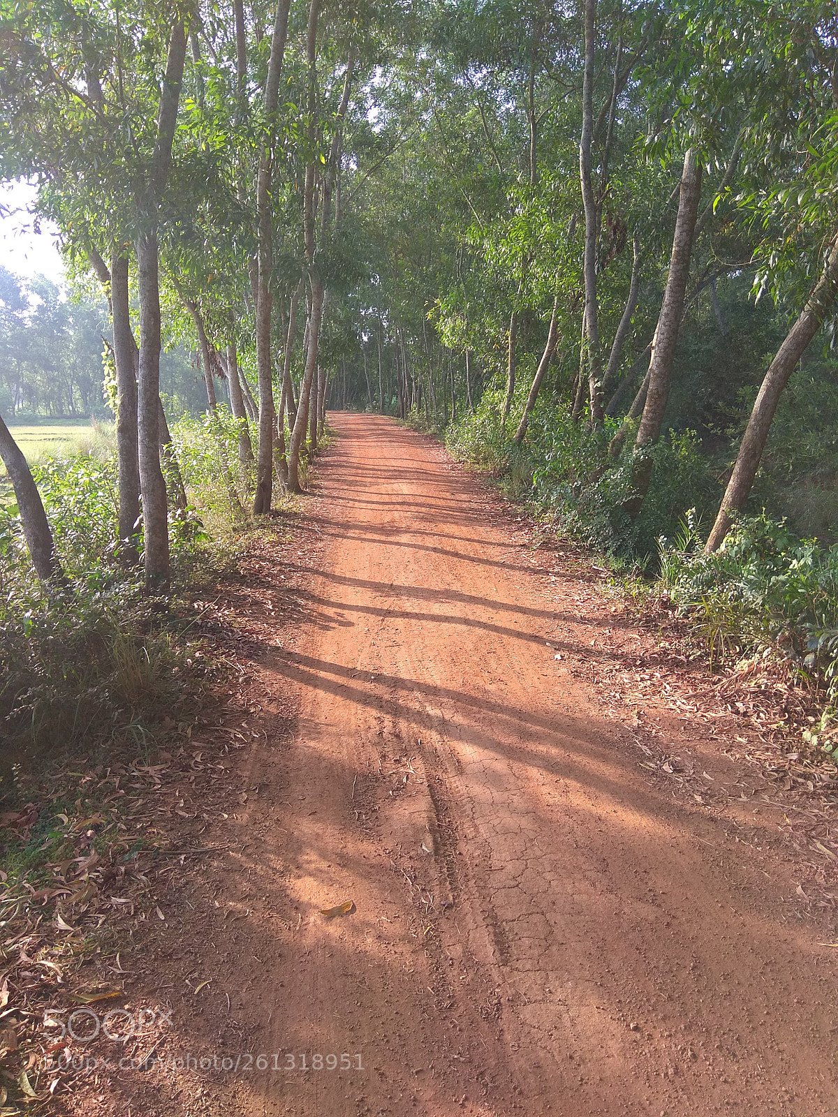 Xiaomi Redmi Note 4 sample photo. Untitled photography