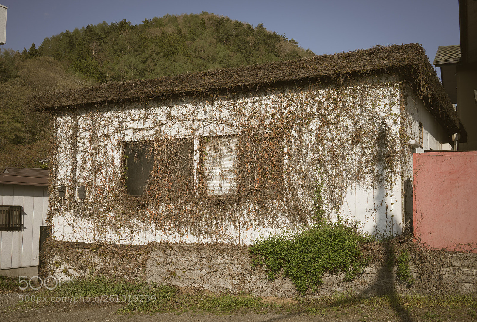 Sony a7 sample photo. Abandoned house covered by photography