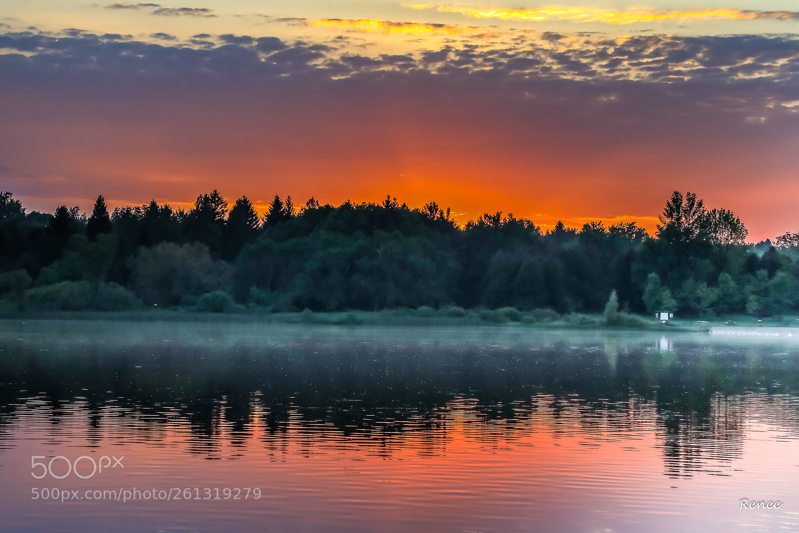 Canon EOS 5D Mark IV sample photo. Mist lake photography
