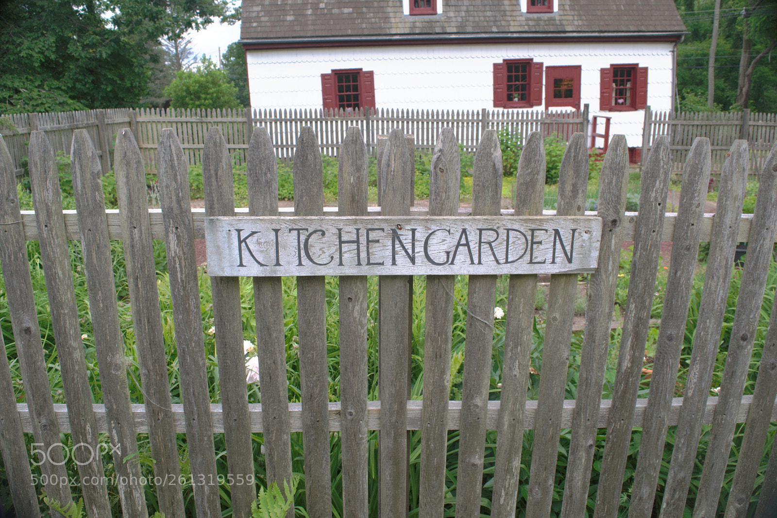 Nikon D3300 sample photo. The sign says it photography