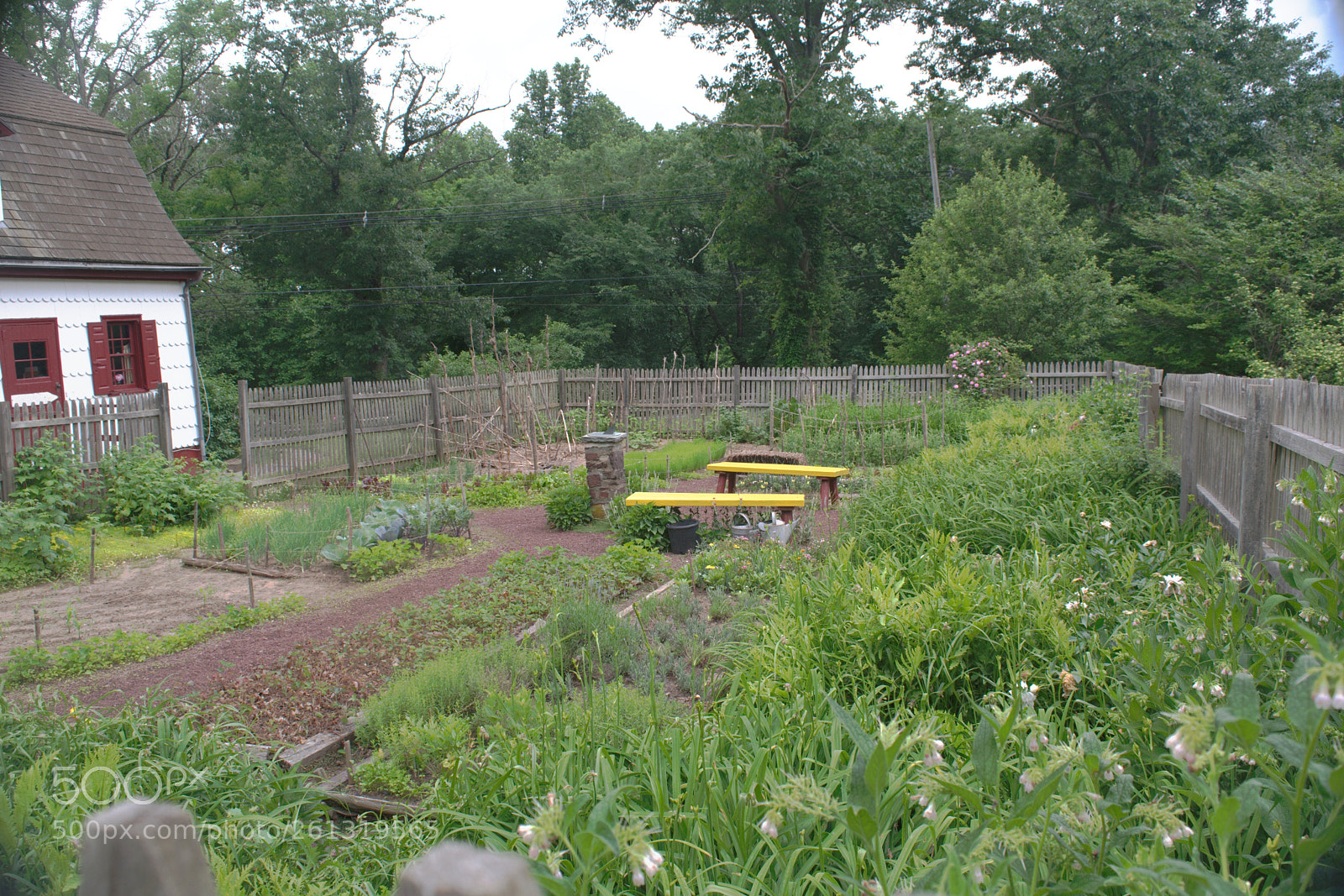 Nikon D3300 sample photo. The kitchen garden photography