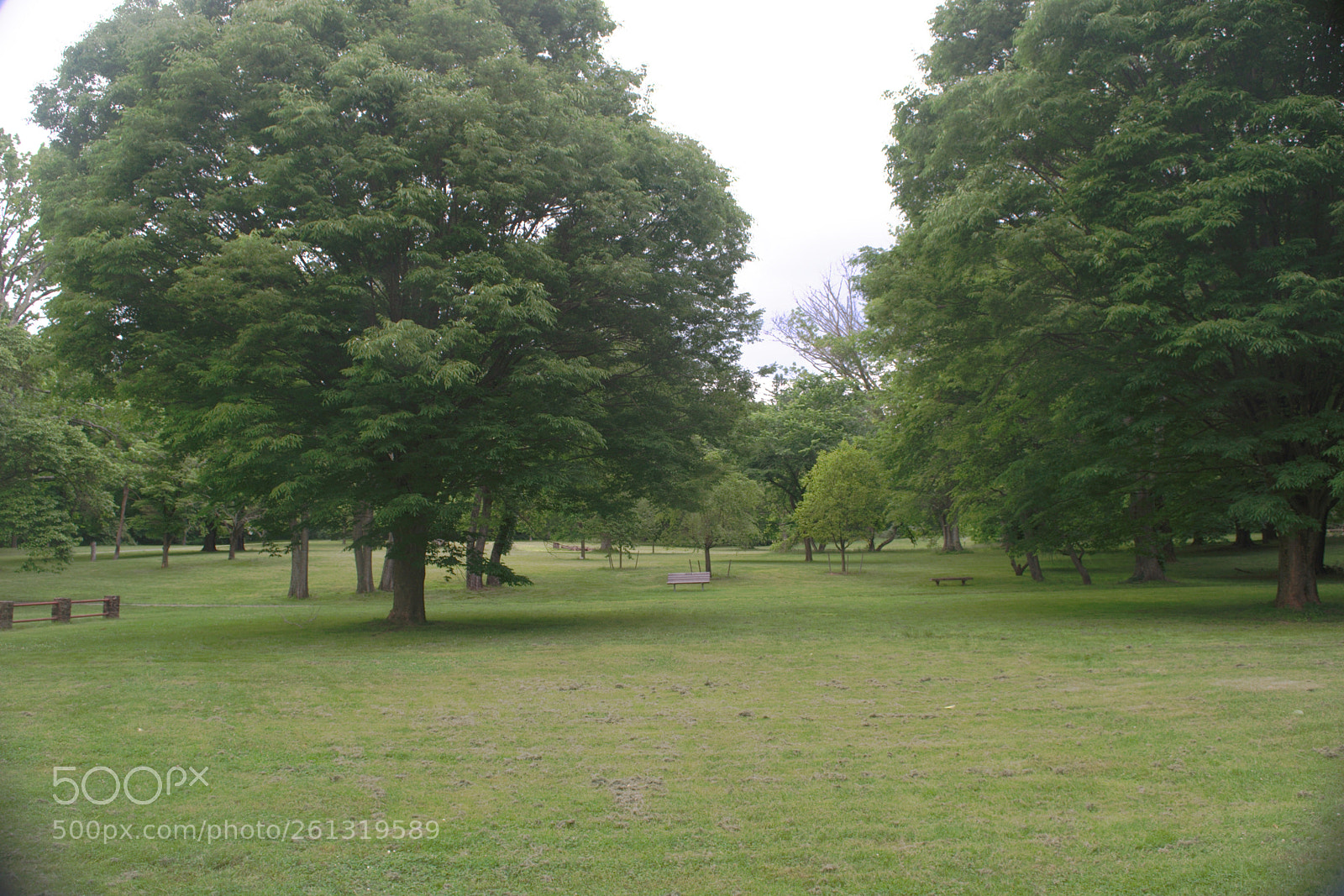 Nikon D3300 sample photo. A field photography