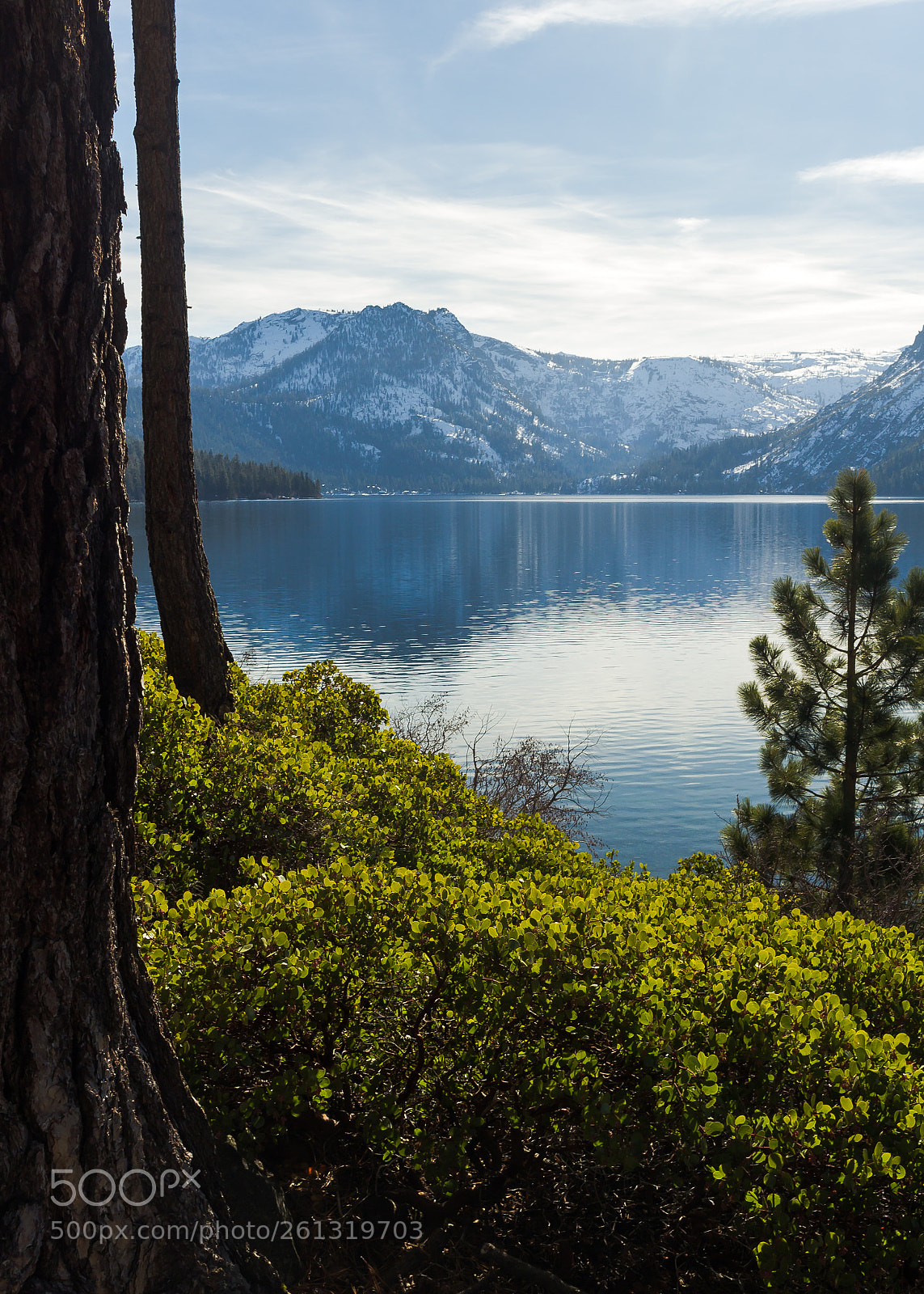 Canon EOS 60D sample photo. Fallen leaf lake photography