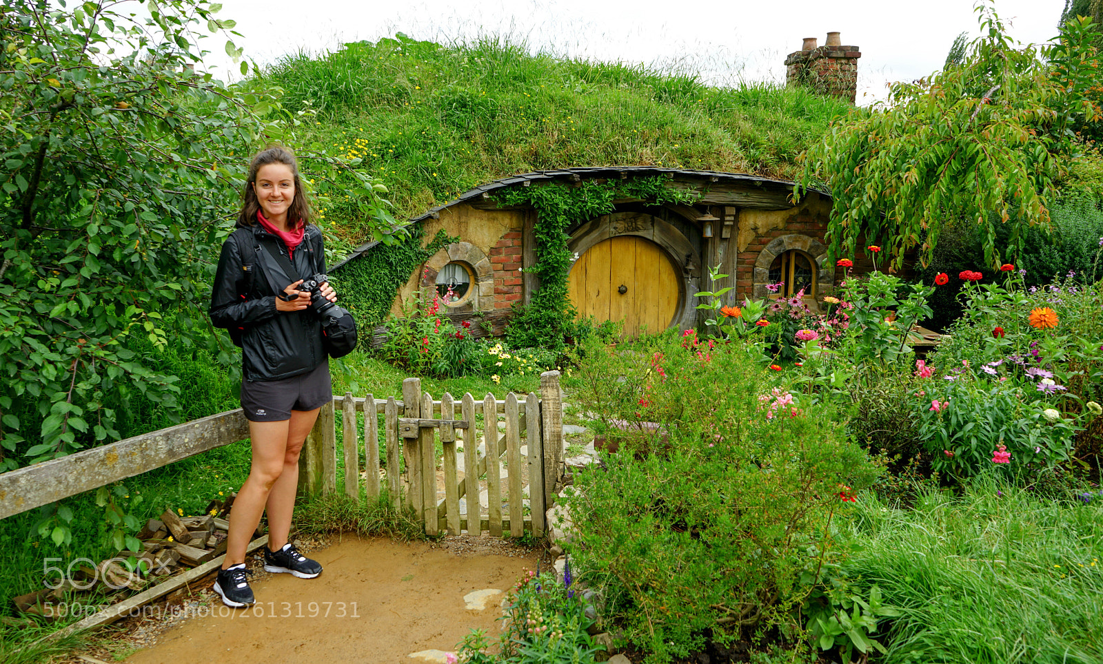 Sony a7 II sample photo. Dsc photography