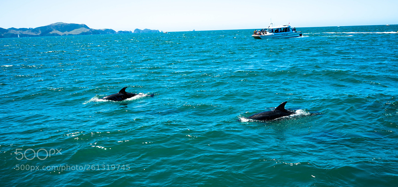 Sony a7 II sample photo. Dsc photography