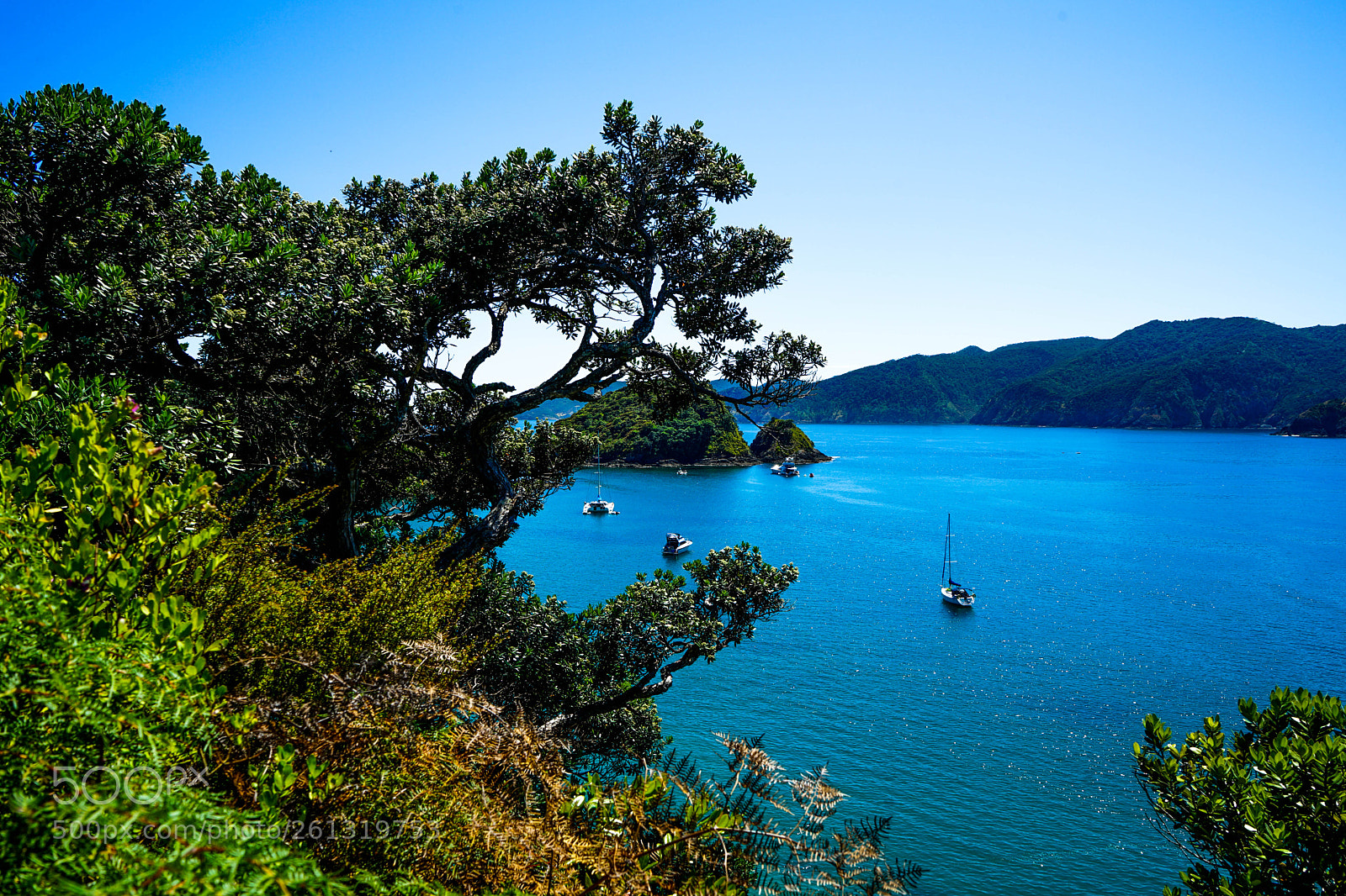 Sony a7 II sample photo. Dsc photography