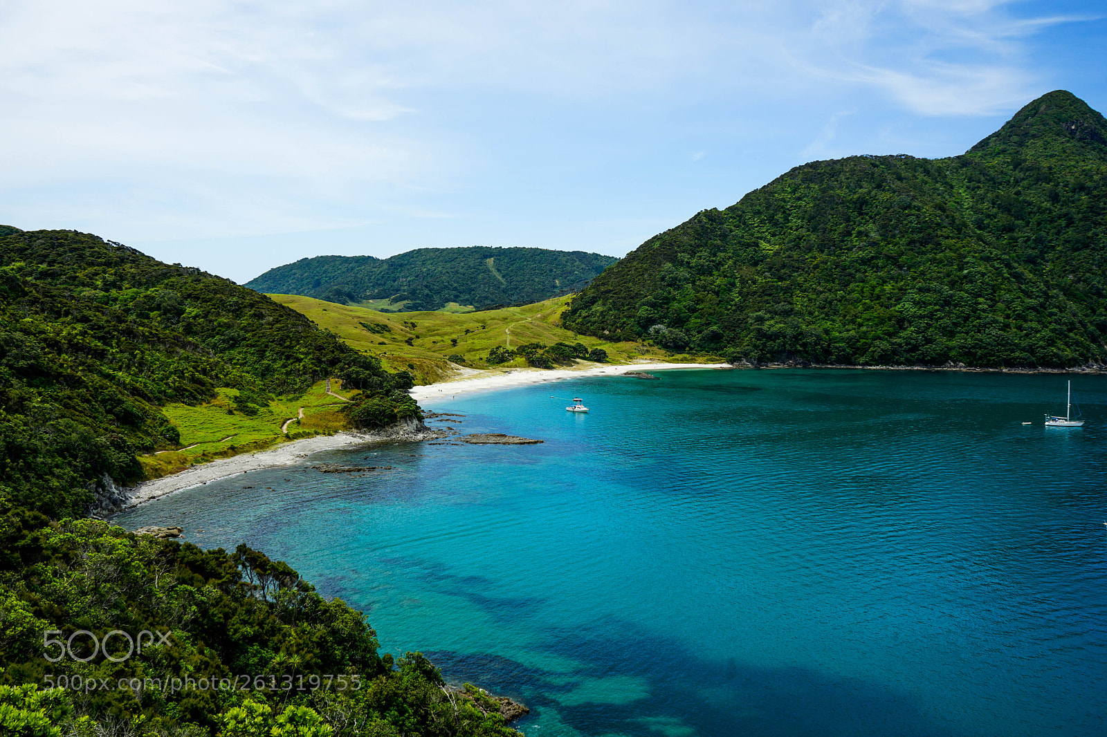 Sony a7 II sample photo. Copy photography