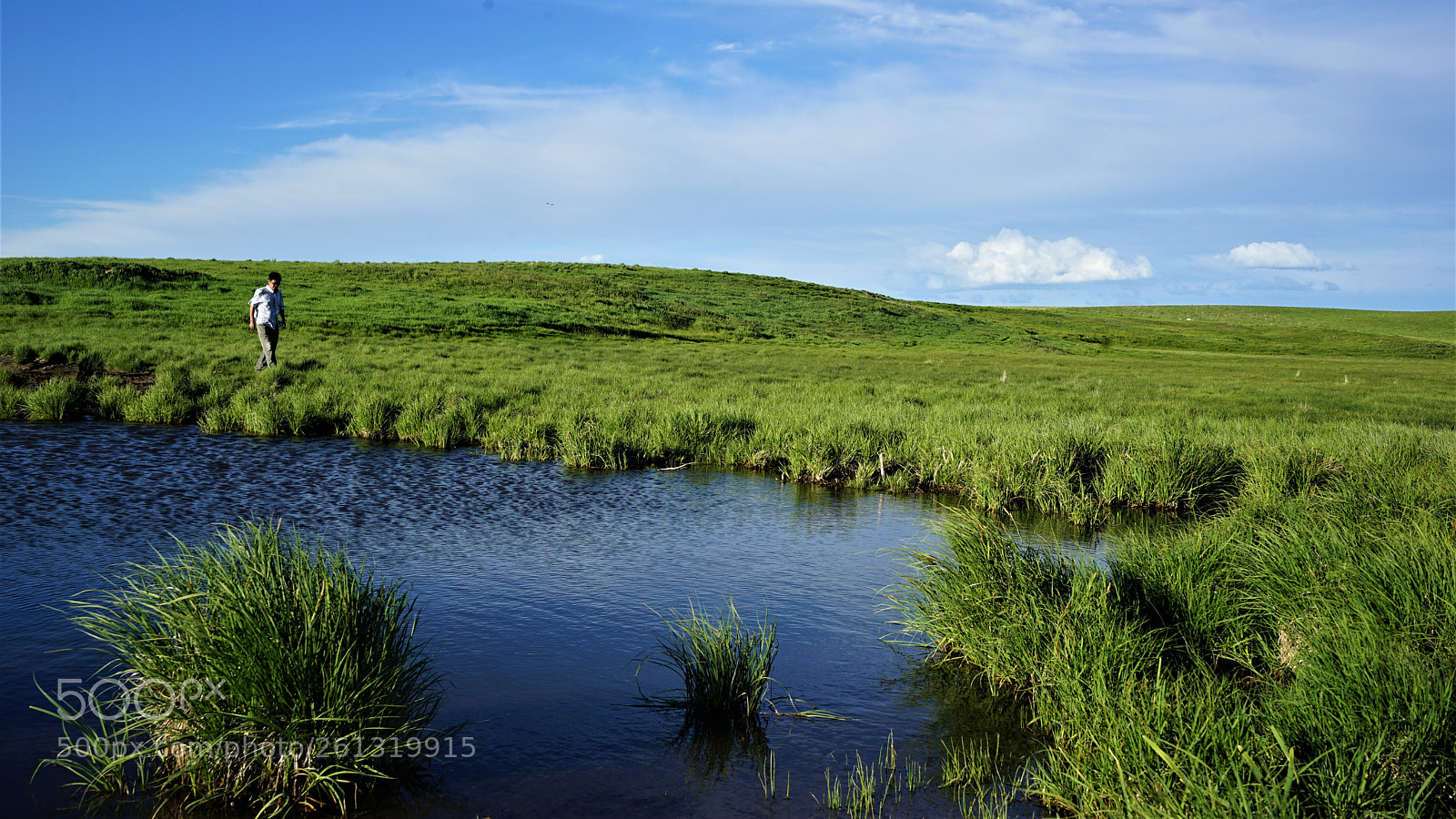 Sony a7 II sample photo. Dsc photography