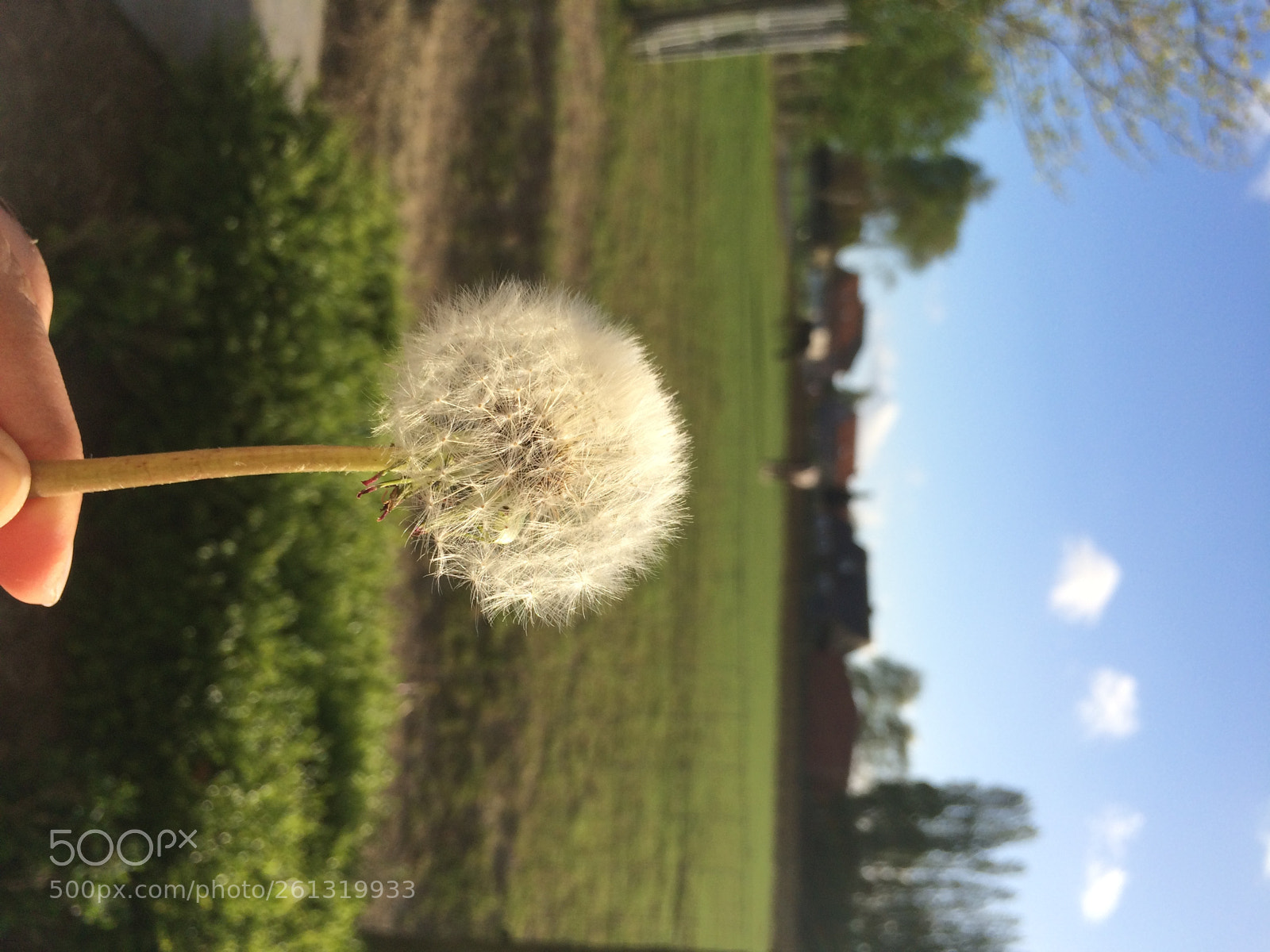 Apple iPhone 5s sample photo. Spring photography