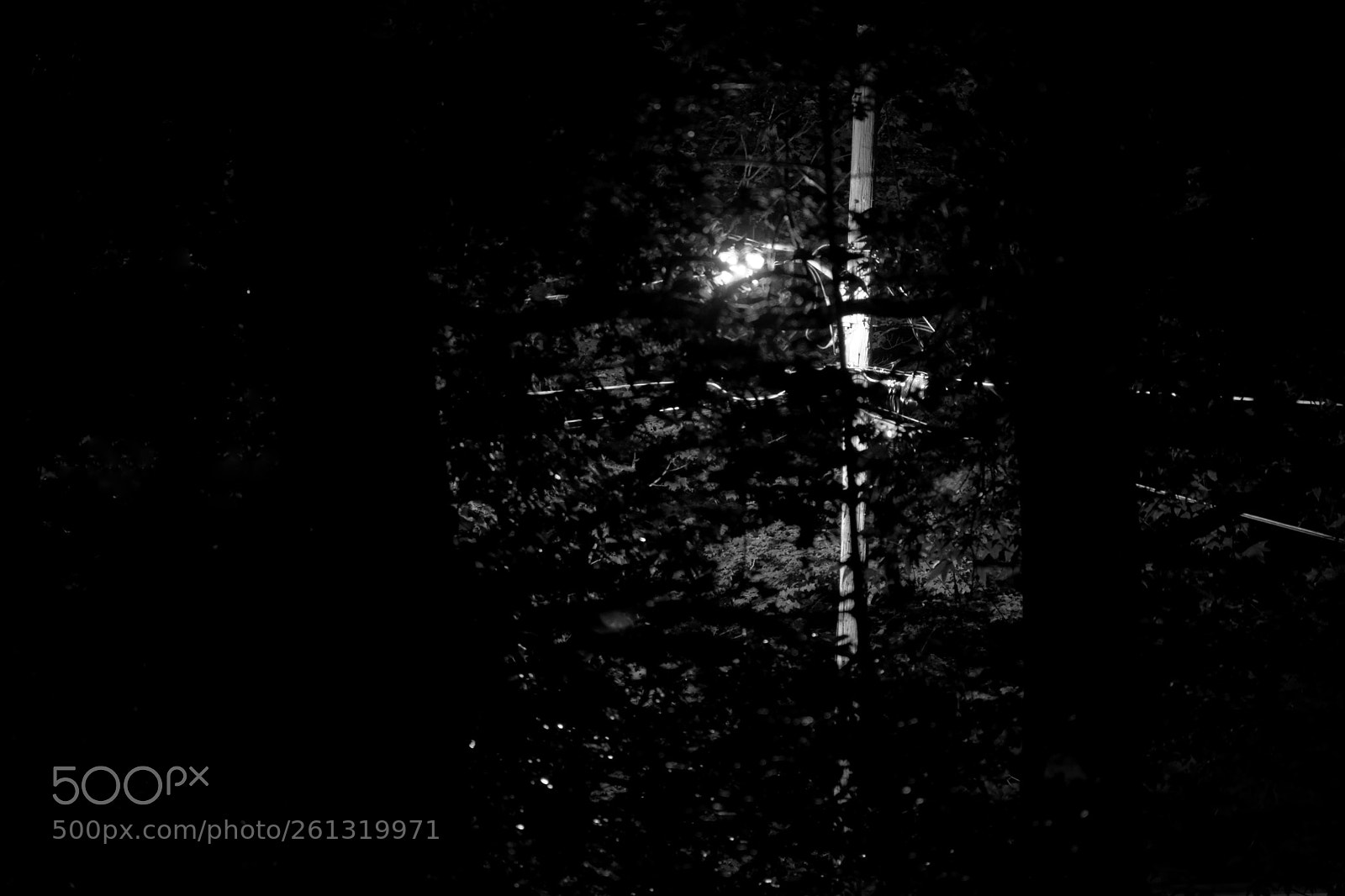 Nikon D7100 sample photo. Streetlight b&w 6/7/18 photography