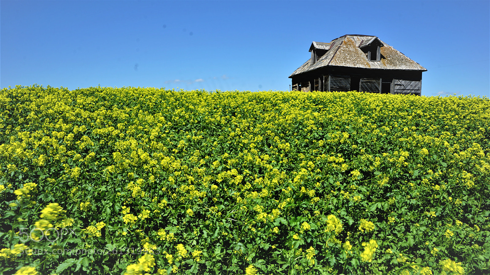 Sony a7 II sample photo. Dsc photography