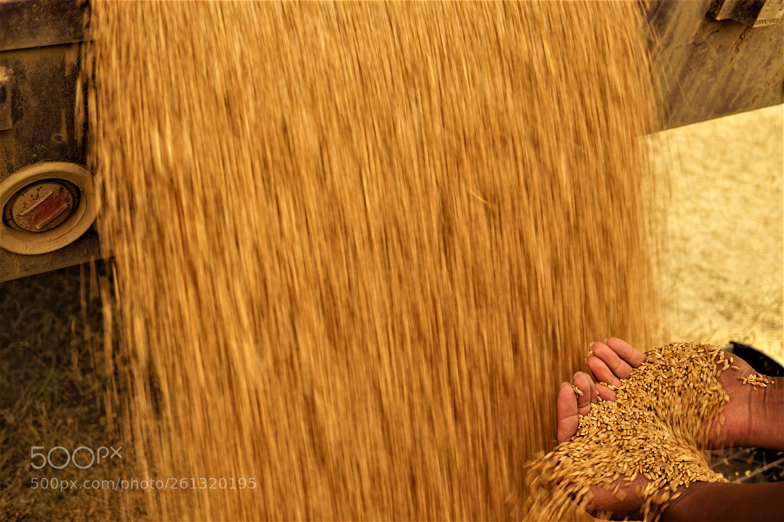 Sony a7 II sample photo. Dsc photography