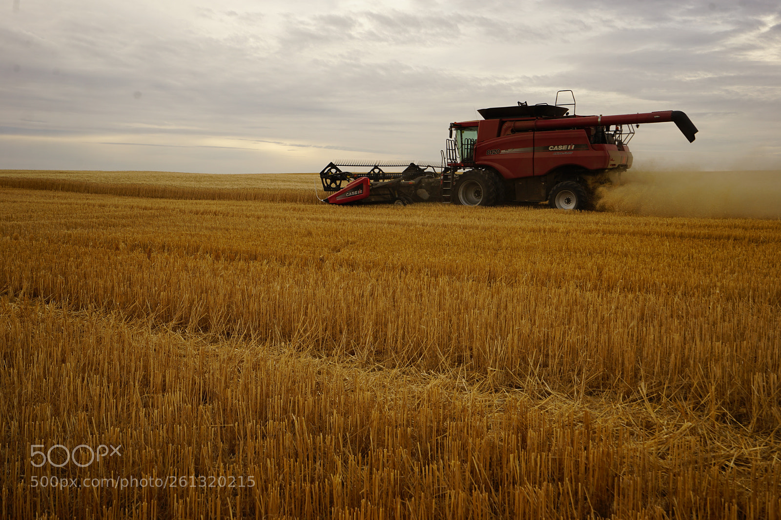Sony a7 II sample photo. Dsc photography