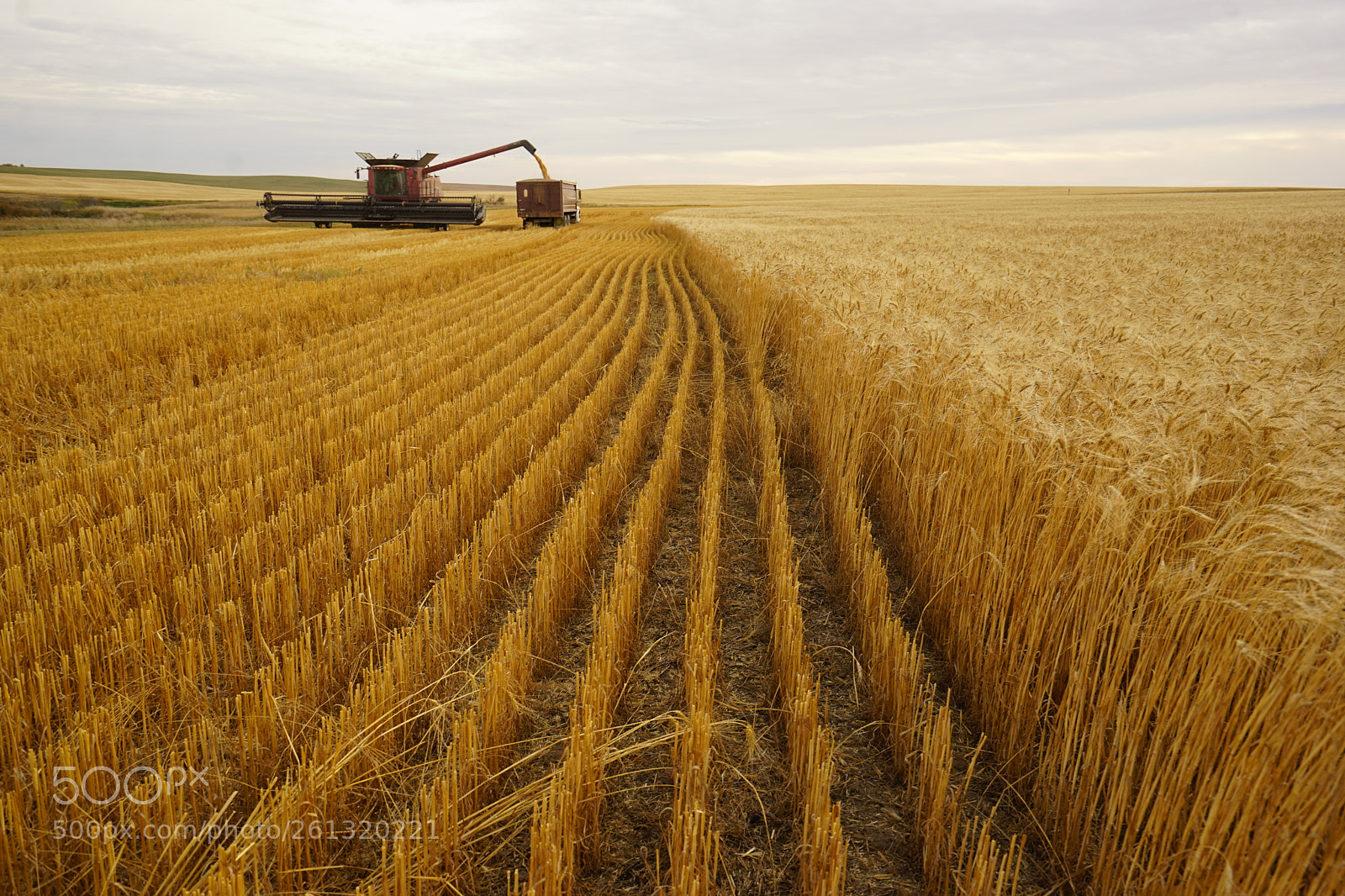 Sony a7 II sample photo. Dsc photography