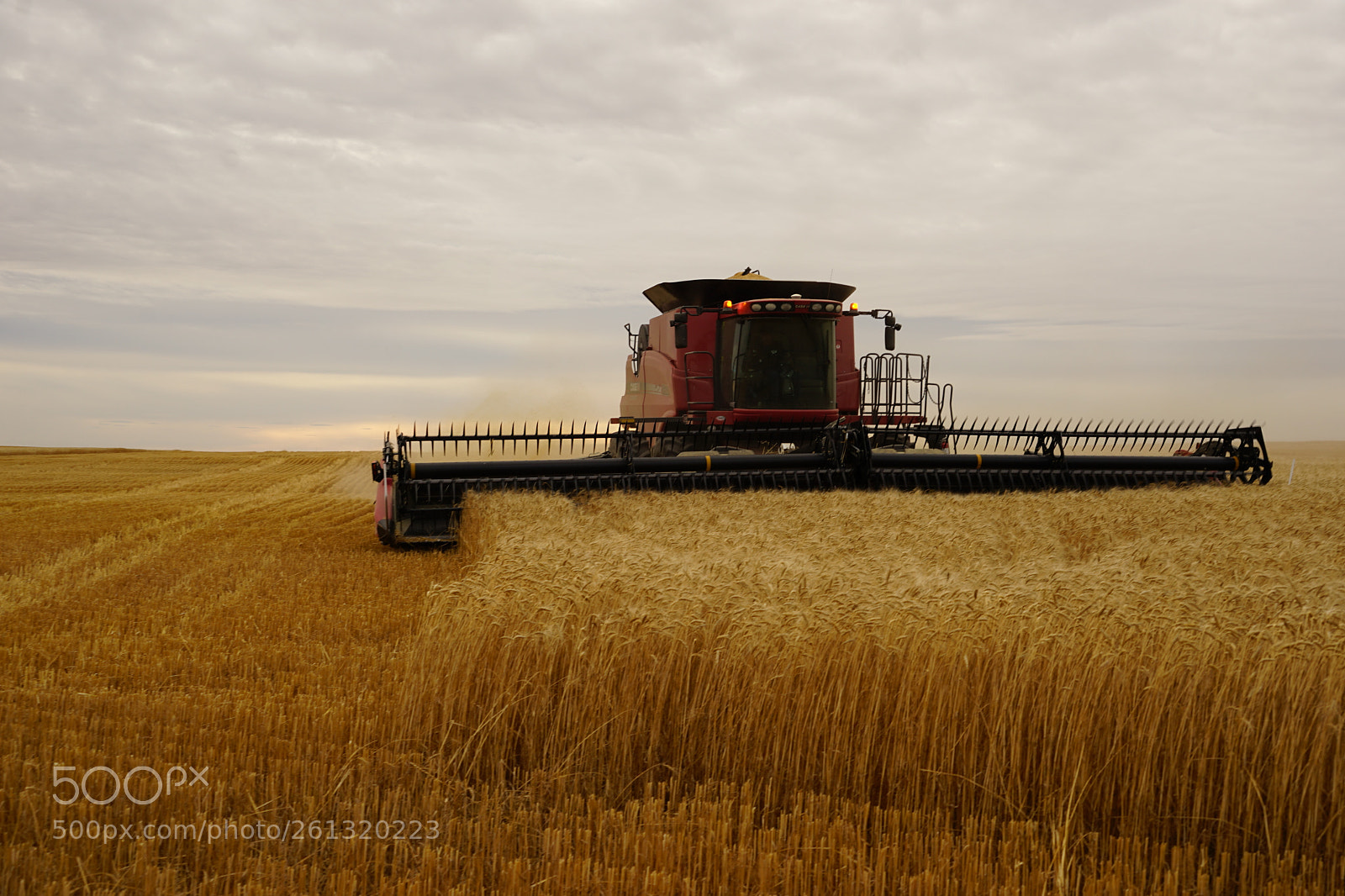 Sony a7 II sample photo. Dsc photography