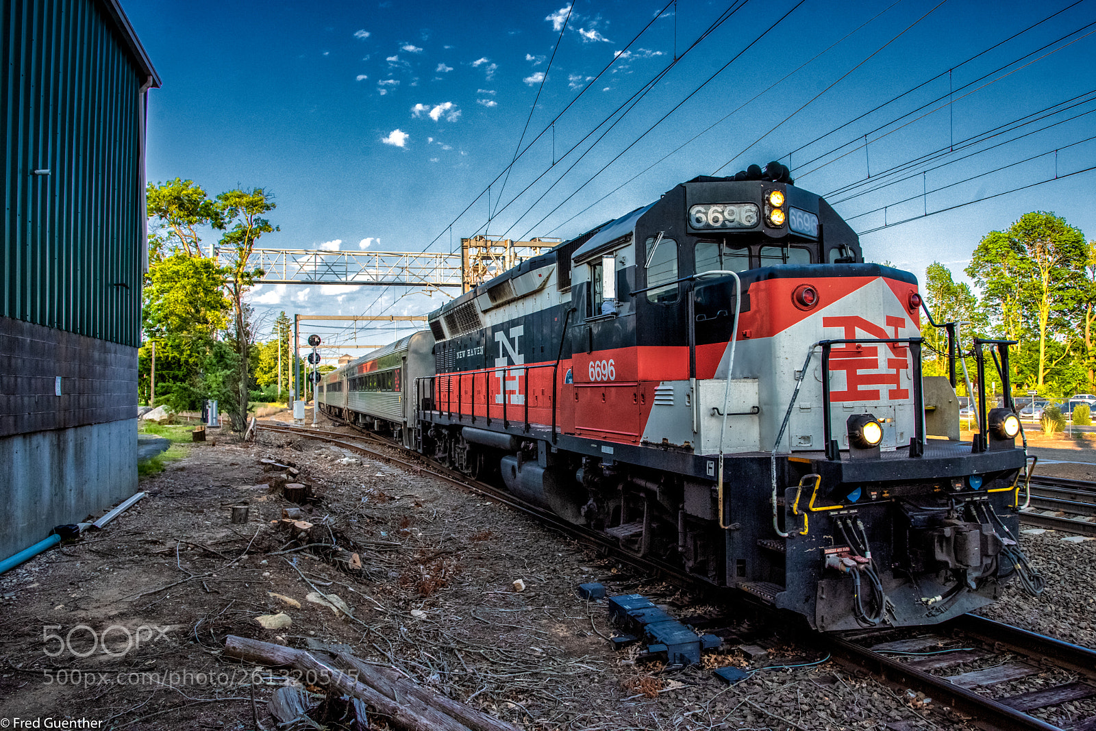 Nikon D810 sample photo. Closeup of sle gp40 photography