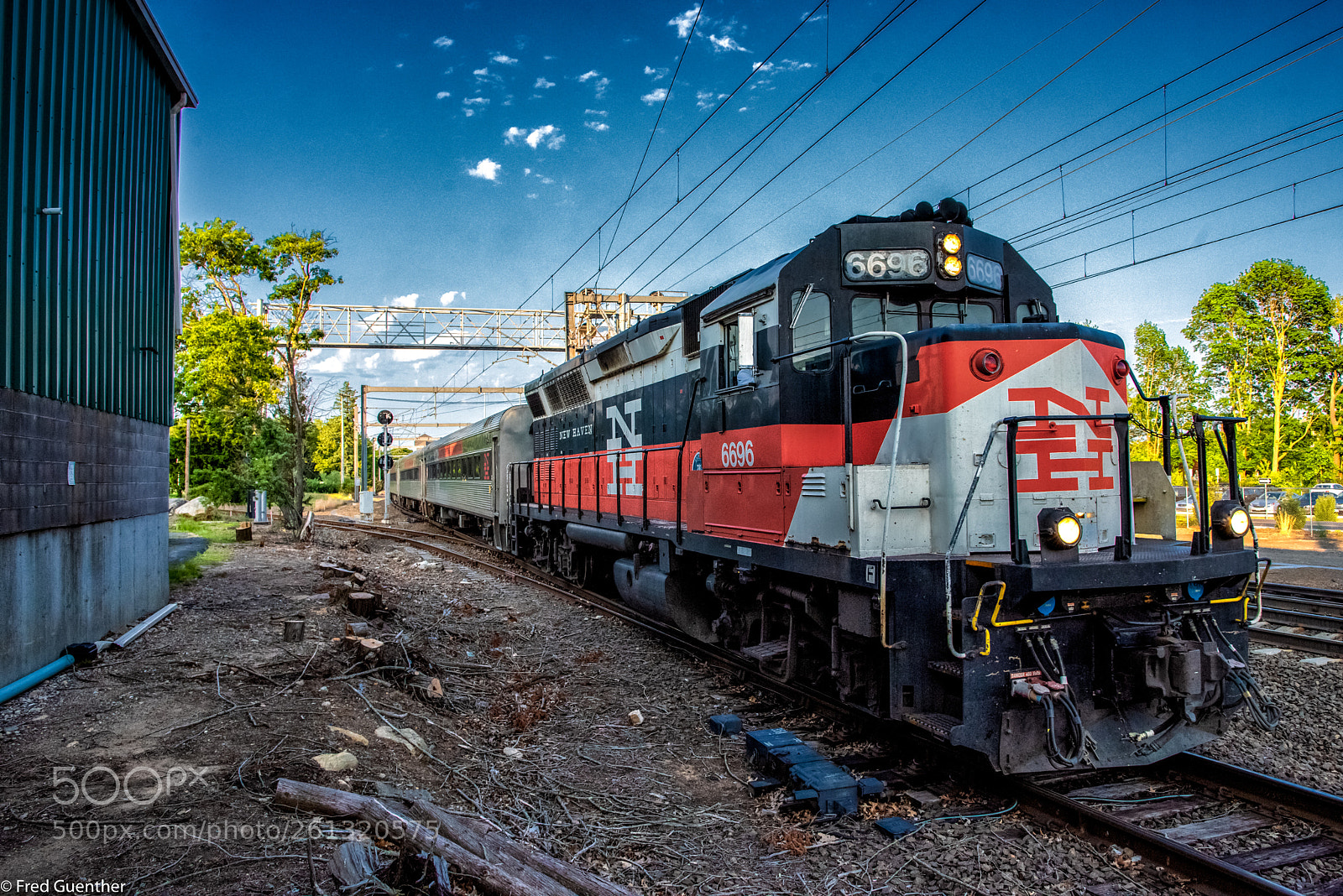 Nikon D810 sample photo. Closeup of sle gp40 photography