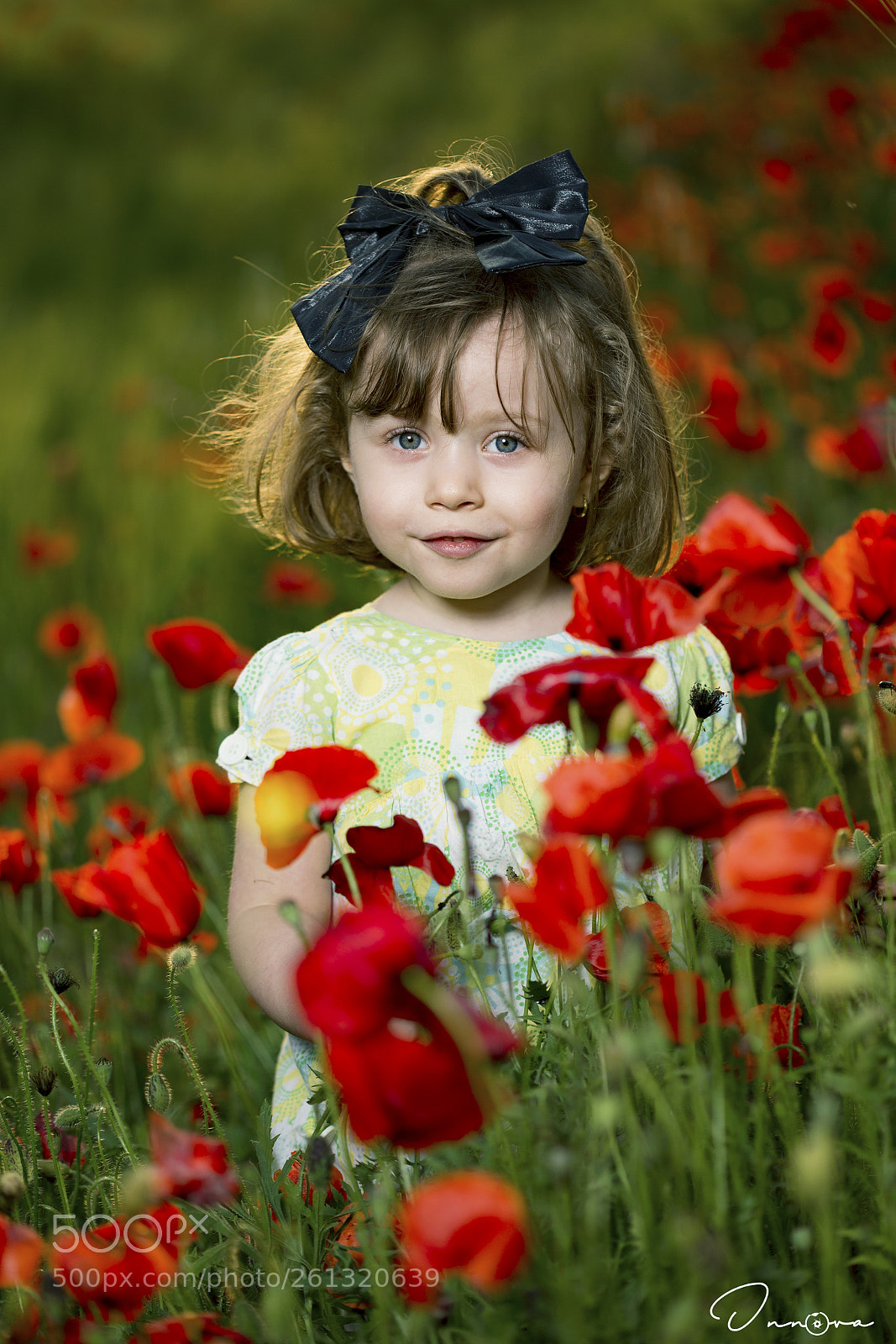 Canon EOS 6D sample photo. Beauty in nature photography