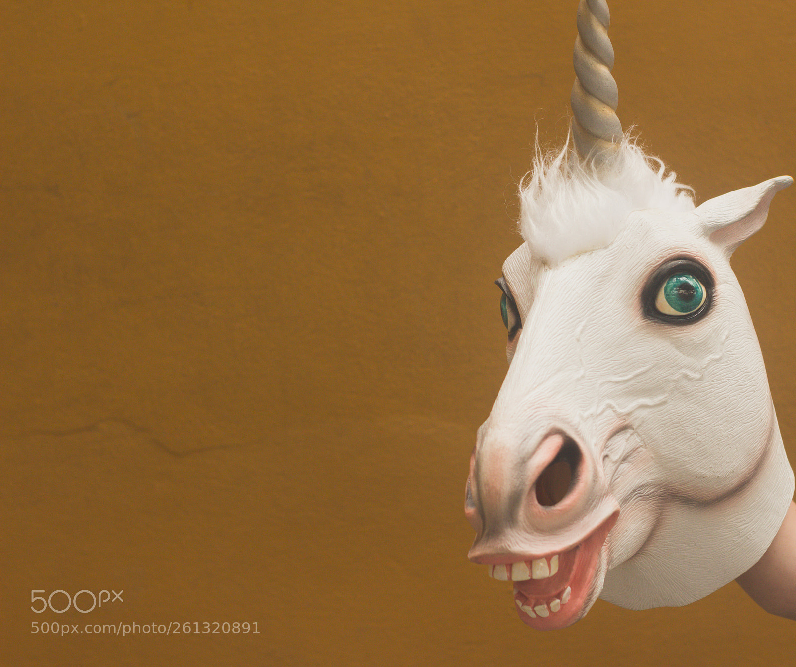 Canon EOS 1200D (EOS Rebel T5 / EOS Kiss X70 / EOS Hi) sample photo. Unicorn funny plastic mask photography