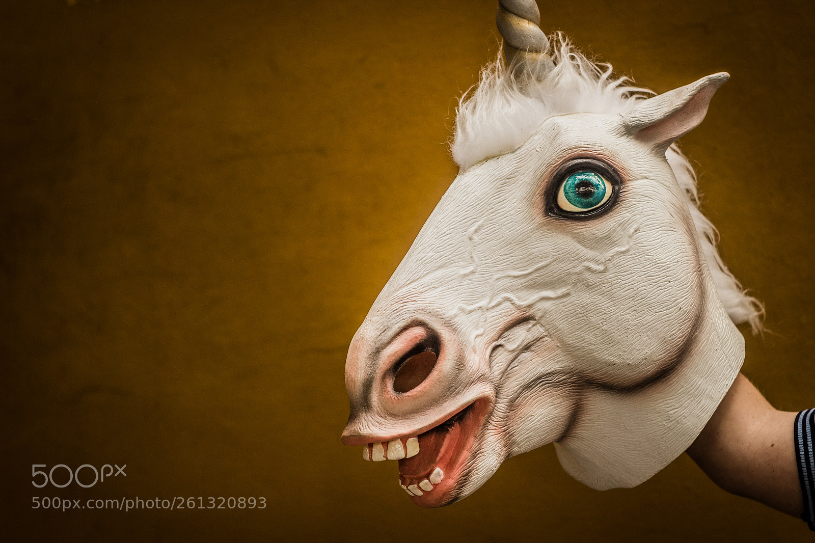 Canon EOS 1200D (EOS Rebel T5 / EOS Kiss X70 / EOS Hi) sample photo. Unicorn funny plastic mask photography