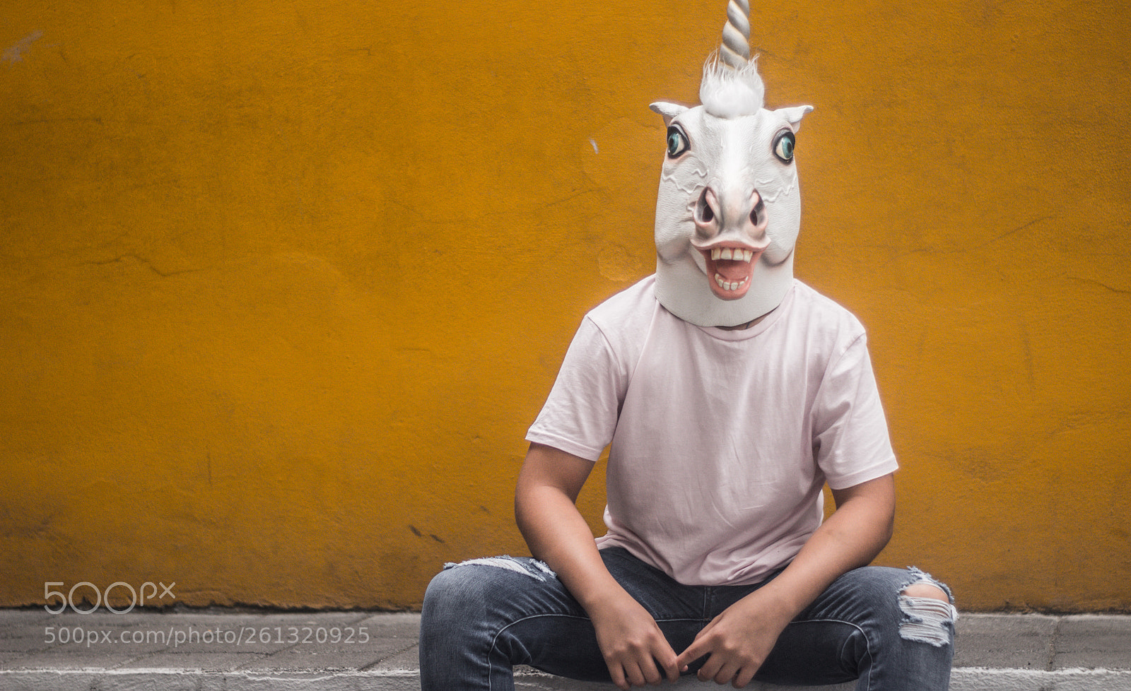Canon EOS 1200D (EOS Rebel T5 / EOS Kiss X70 / EOS Hi) sample photo. Unicorn funny plastic mask photography