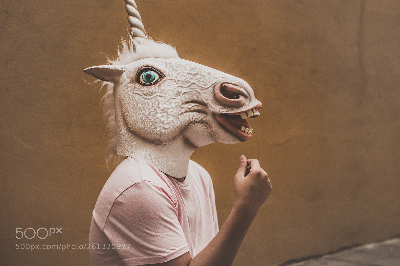 Canon EOS 1200D (EOS Rebel T5 / EOS Kiss X70 / EOS Hi) sample photo. Unicorn funny plastic mask photography