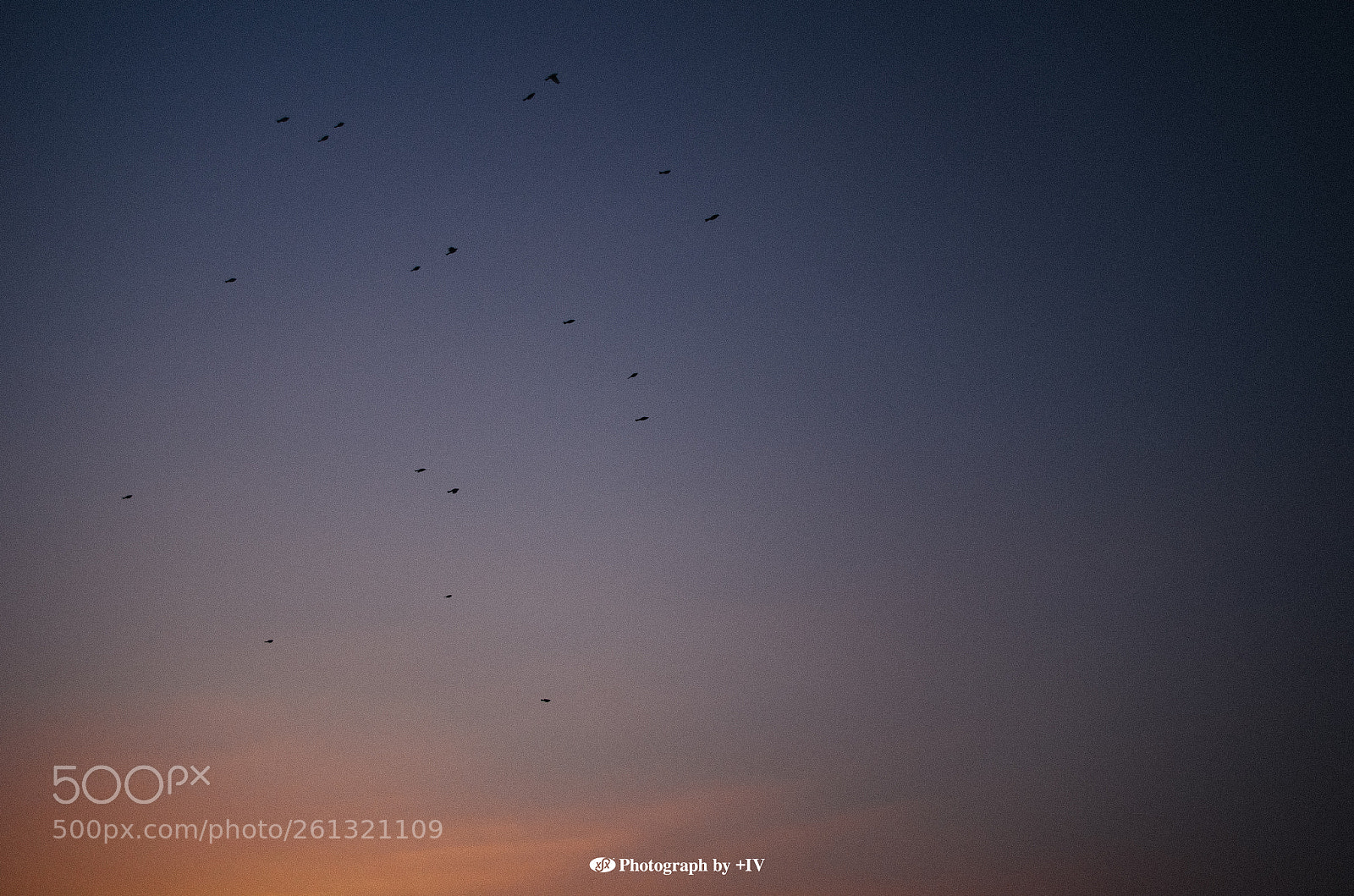 Pentax K-30 sample photo. Untitled photography