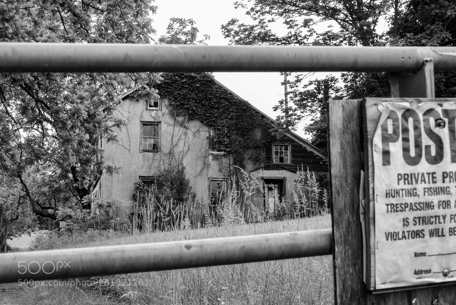 Nikon D3000 sample photo. Abandoned and posted photography