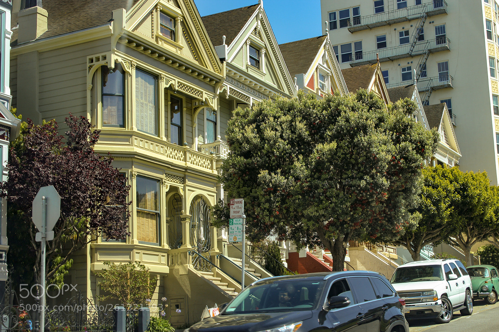 Canon EOS 1200D (EOS Rebel T5 / EOS Kiss X70 / EOS Hi) sample photo. Painted ladies photography