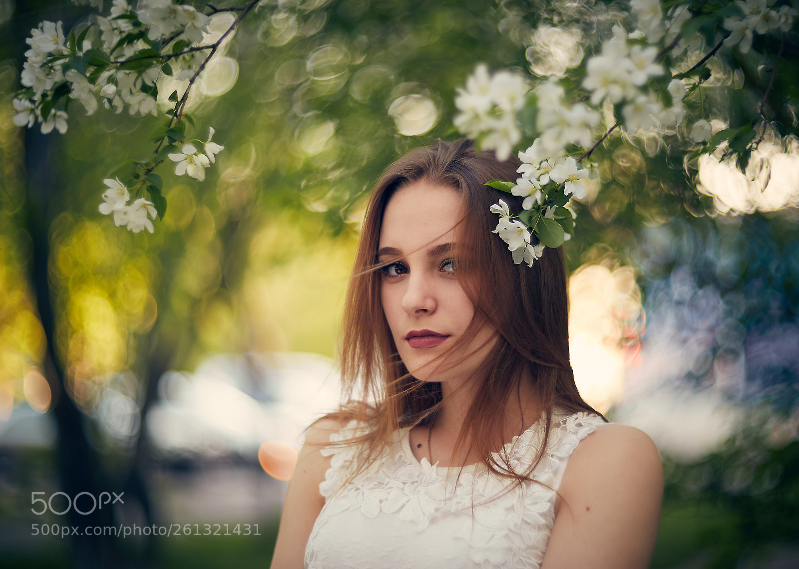 Canon EOS 6D sample photo. Untitled photography