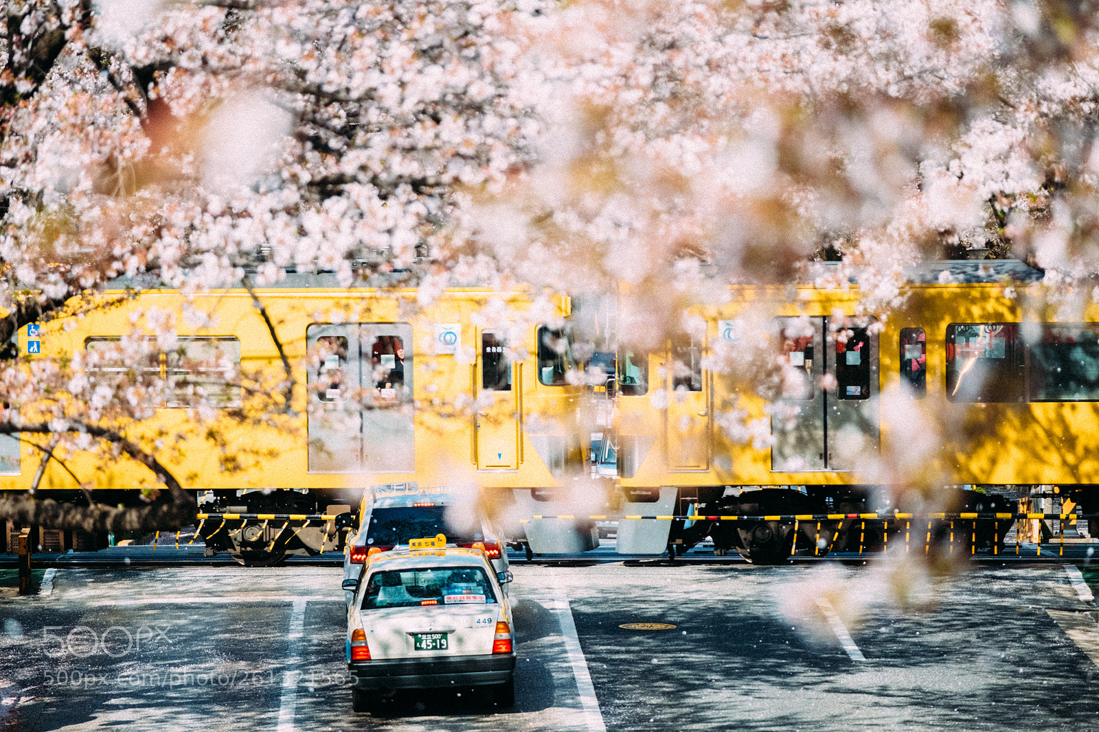 Fujifilm X-Pro2 sample photo. Cherry blossoms photography