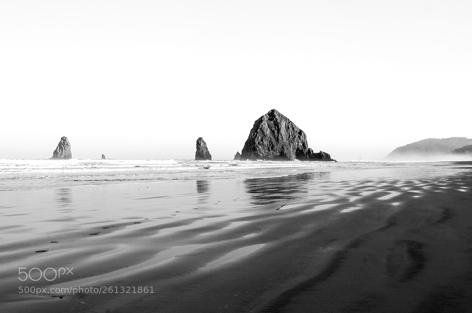 Nikon D300S sample photo. Haystack rock at dawn photography