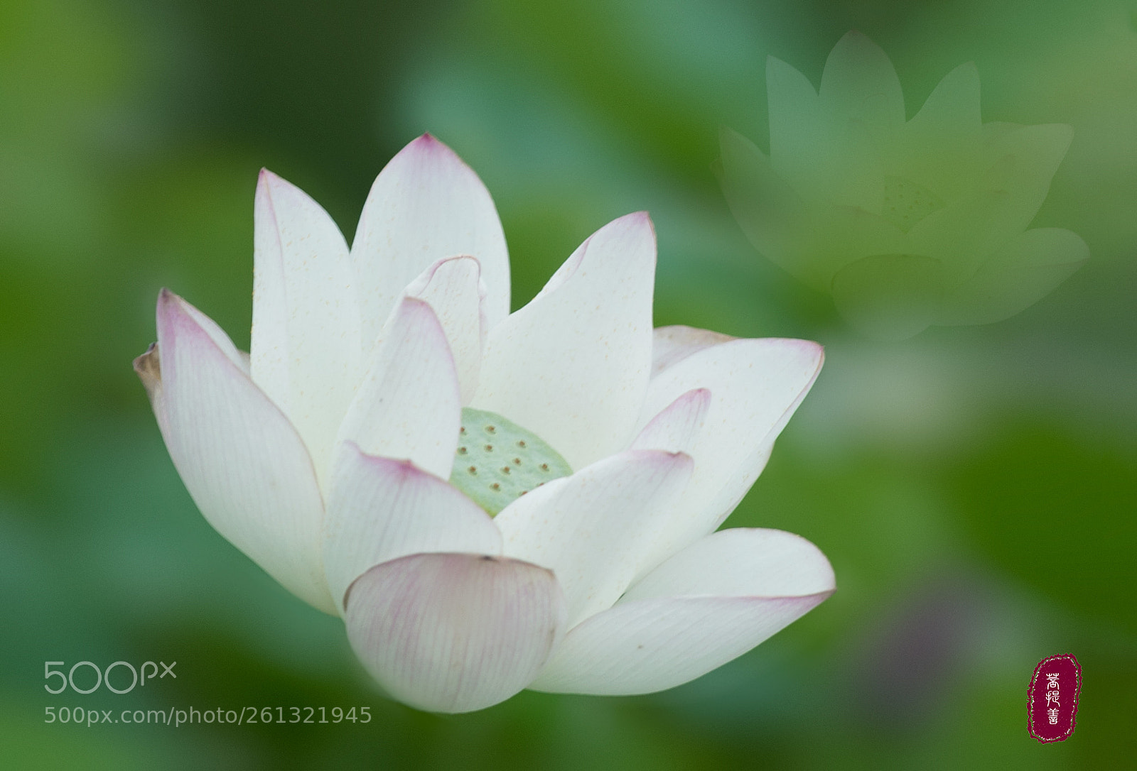 Canon EOS 5D Mark IV sample photo. 「自在·喜乐」 photography