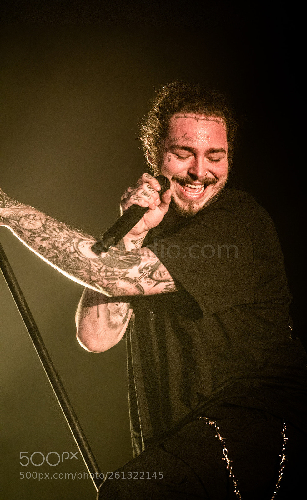 Nikon D500 sample photo. Post malone photography