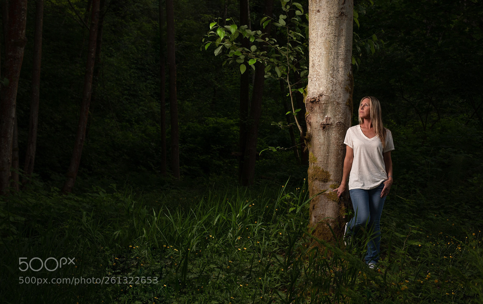 Canon EOS 5D Mark IV sample photo. Untitled photography
