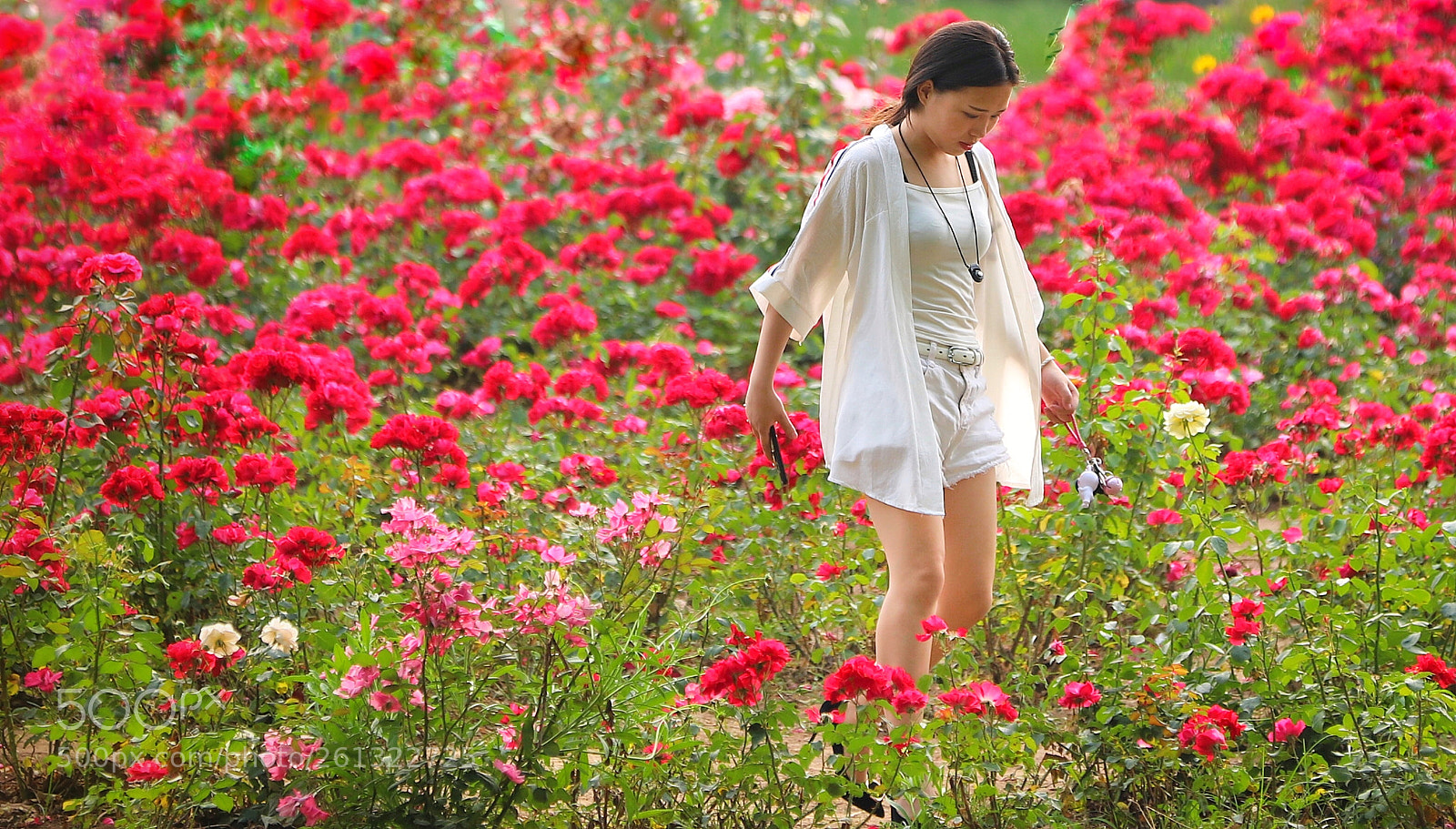 Canon EOS 6D Mark II sample photo. 如果花是白色就会好很多 photography