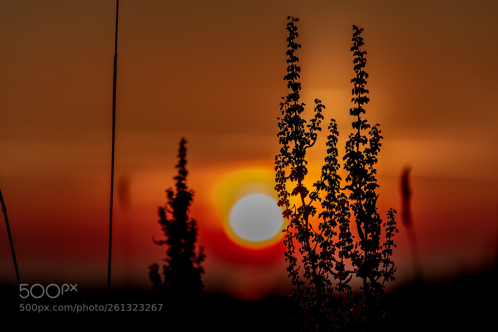 Canon EOS 6D sample photo. Sunset photography