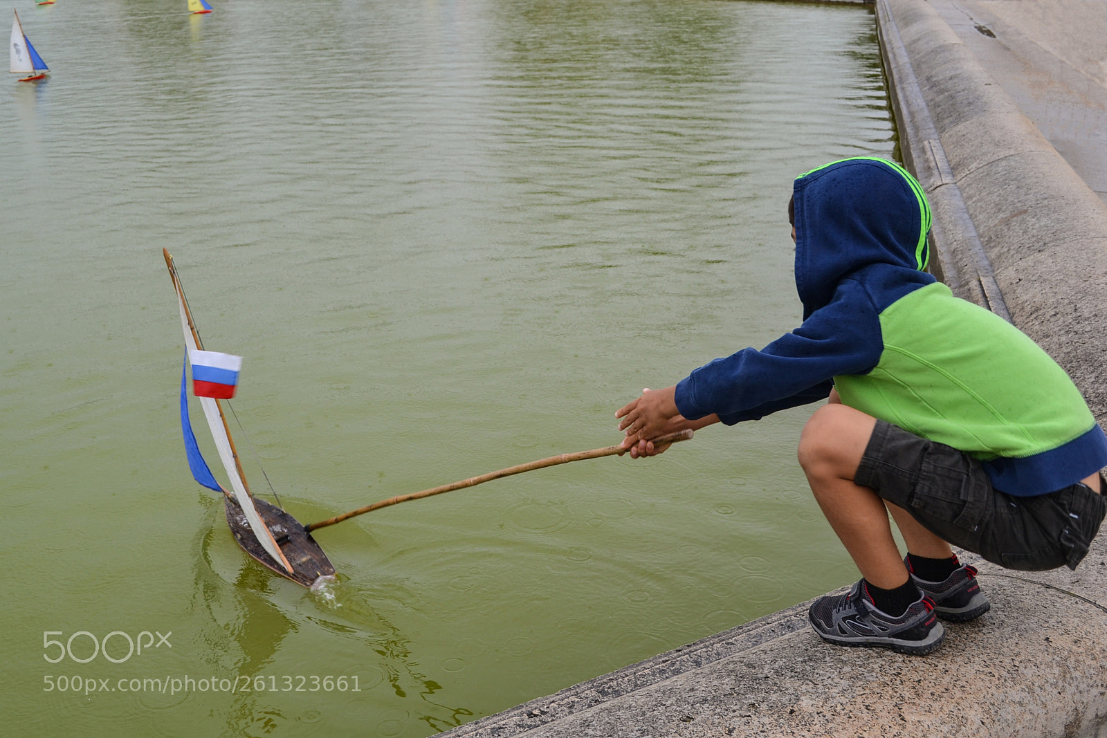 Nikon D3100 sample photo. Game photography