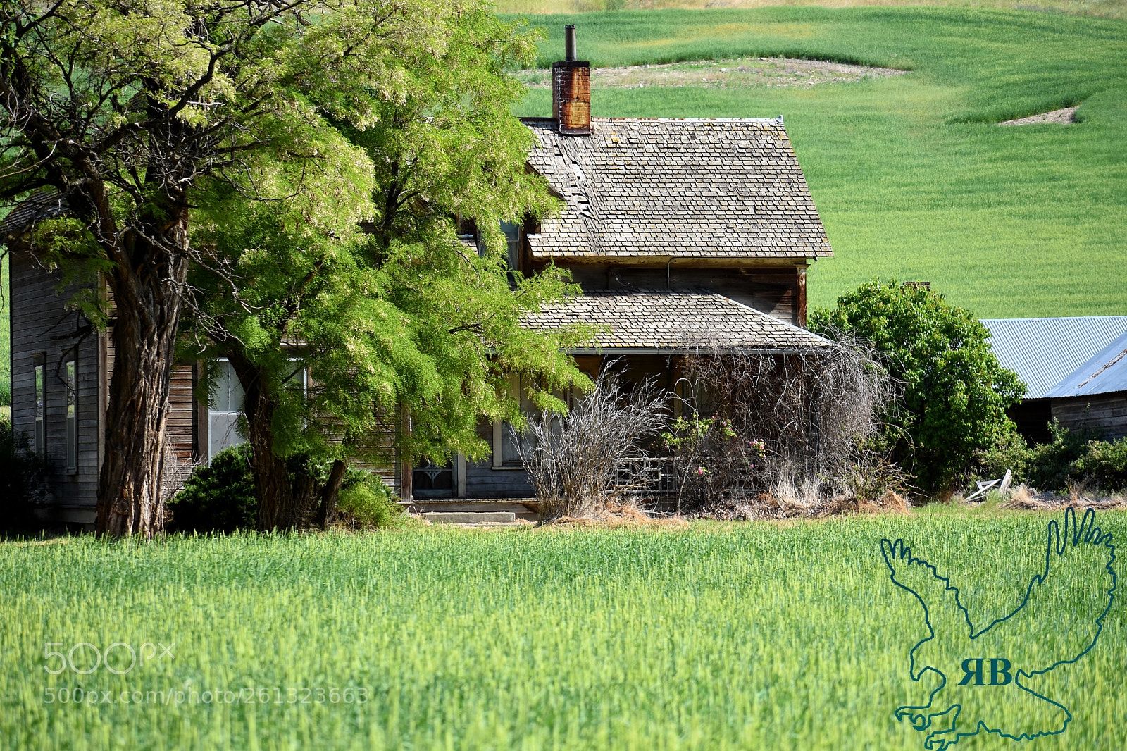 Nikon D3400 sample photo. Old farm house photography