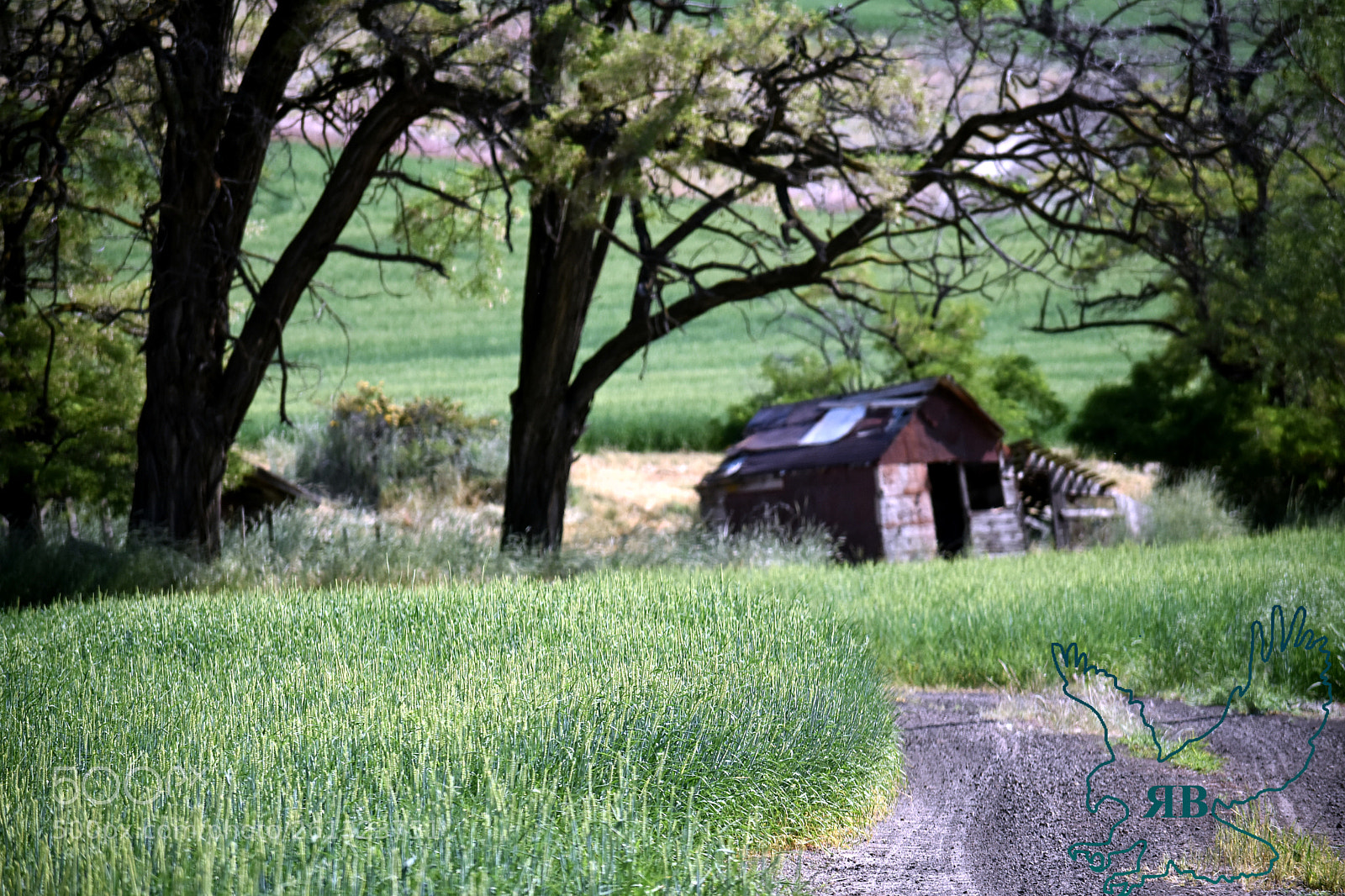 Nikon D3400 sample photo. Old farm building photography
