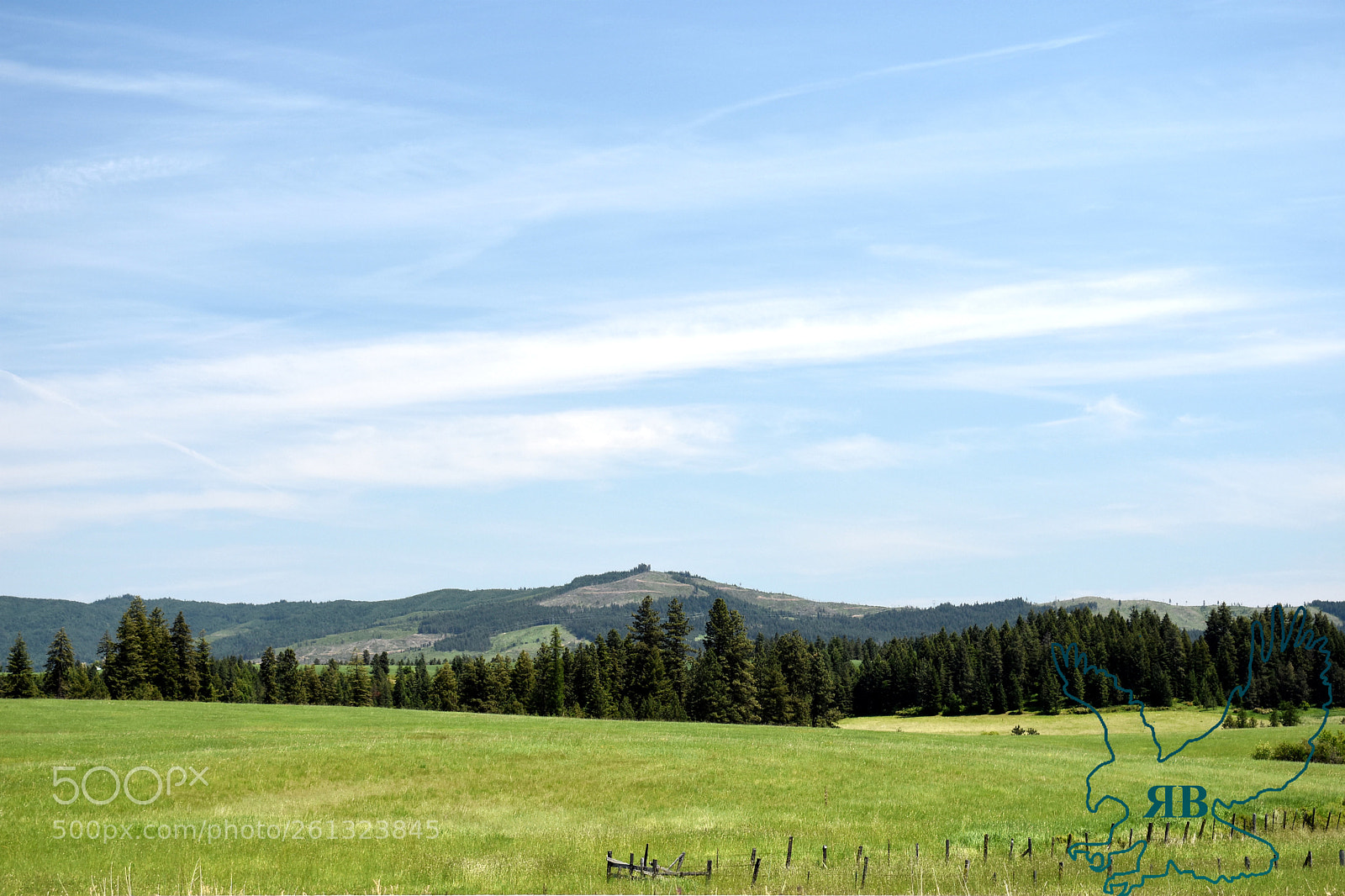 Nikon D3400 sample photo. Texas ridge photography