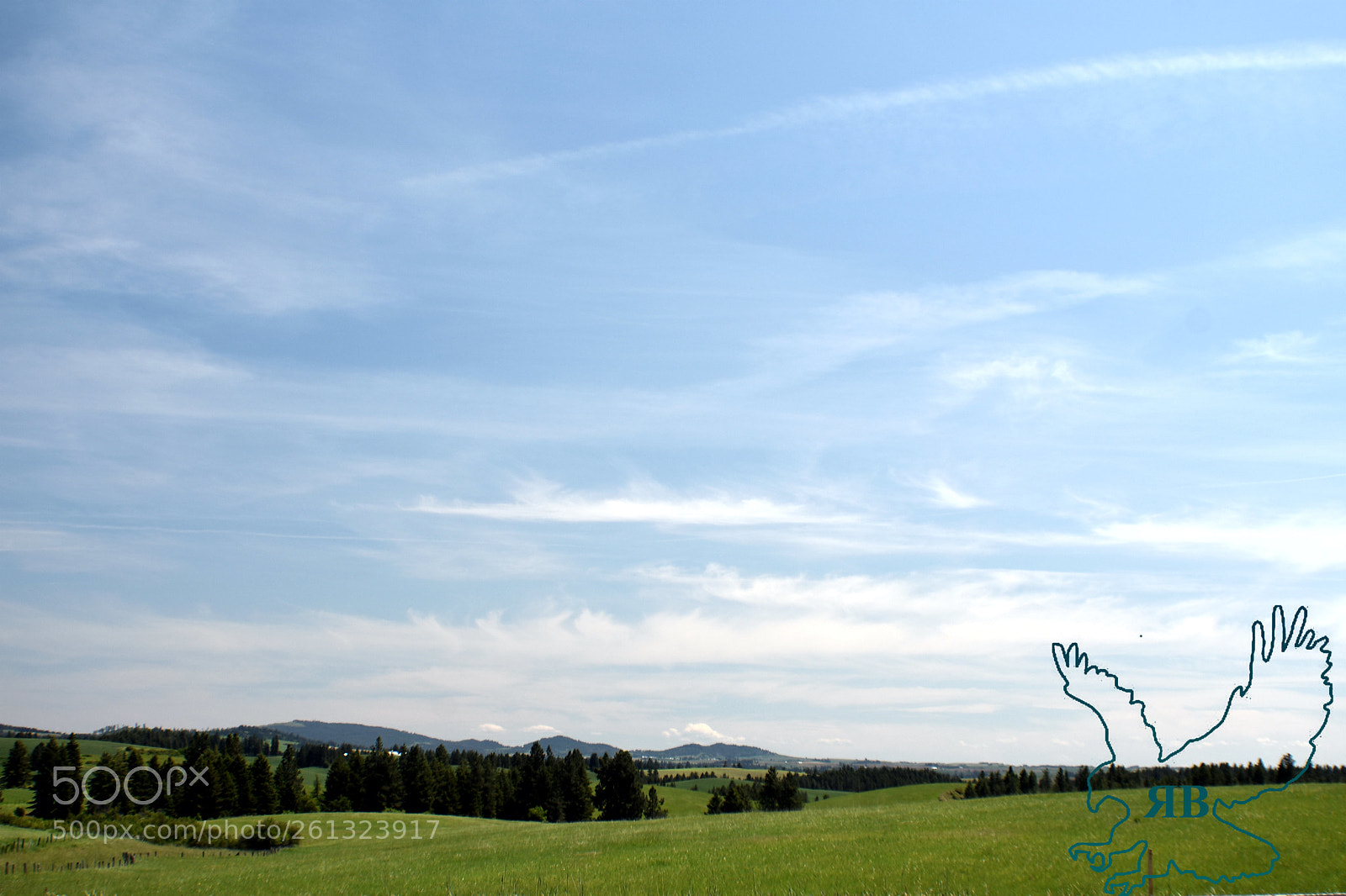 Nikon D3400 sample photo. Texas ridge photography