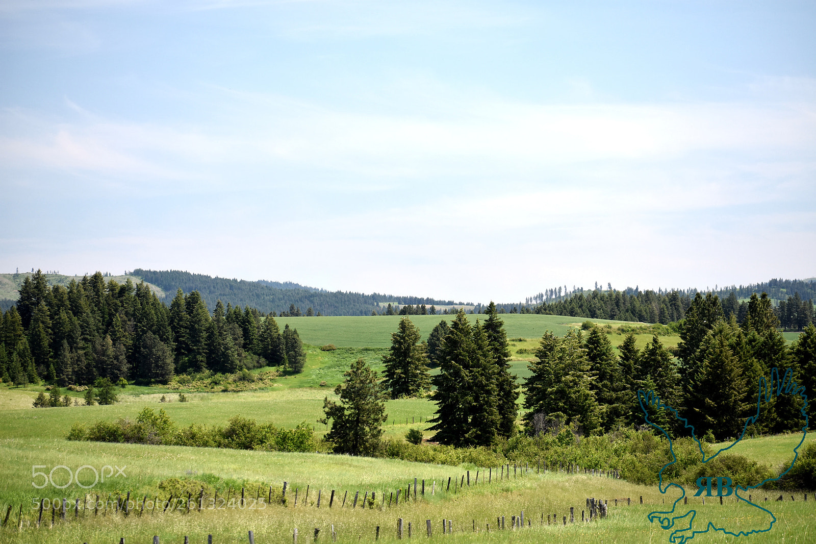 Nikon D3400 sample photo. Texas ridge photography