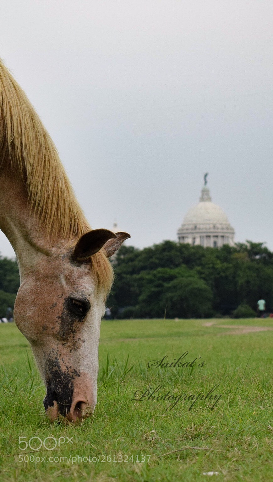 Nikon D5300 sample photo. Untitled photography