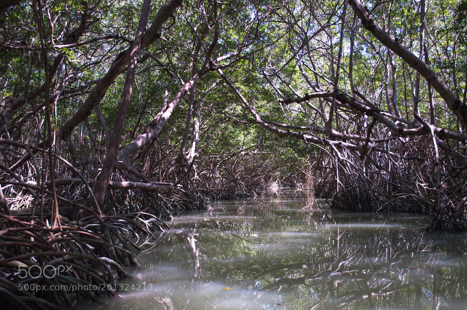Nikon D3200 sample photo. Sailing photography