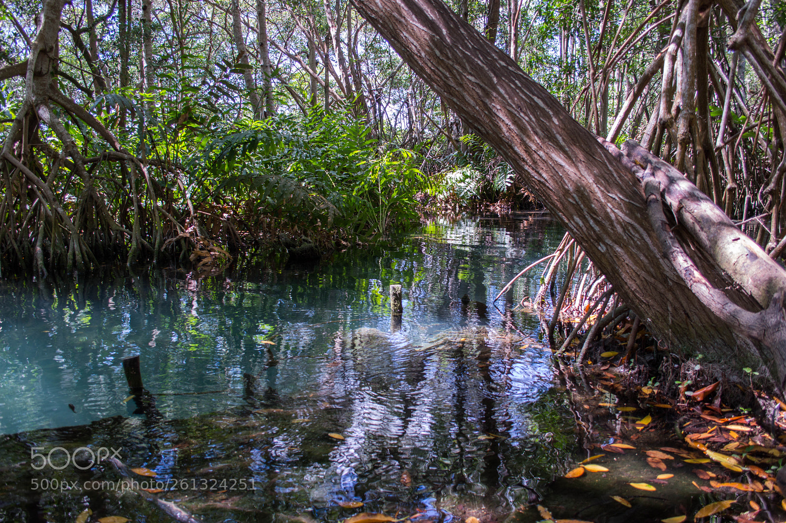 Nikon D3200 sample photo. Special place photography