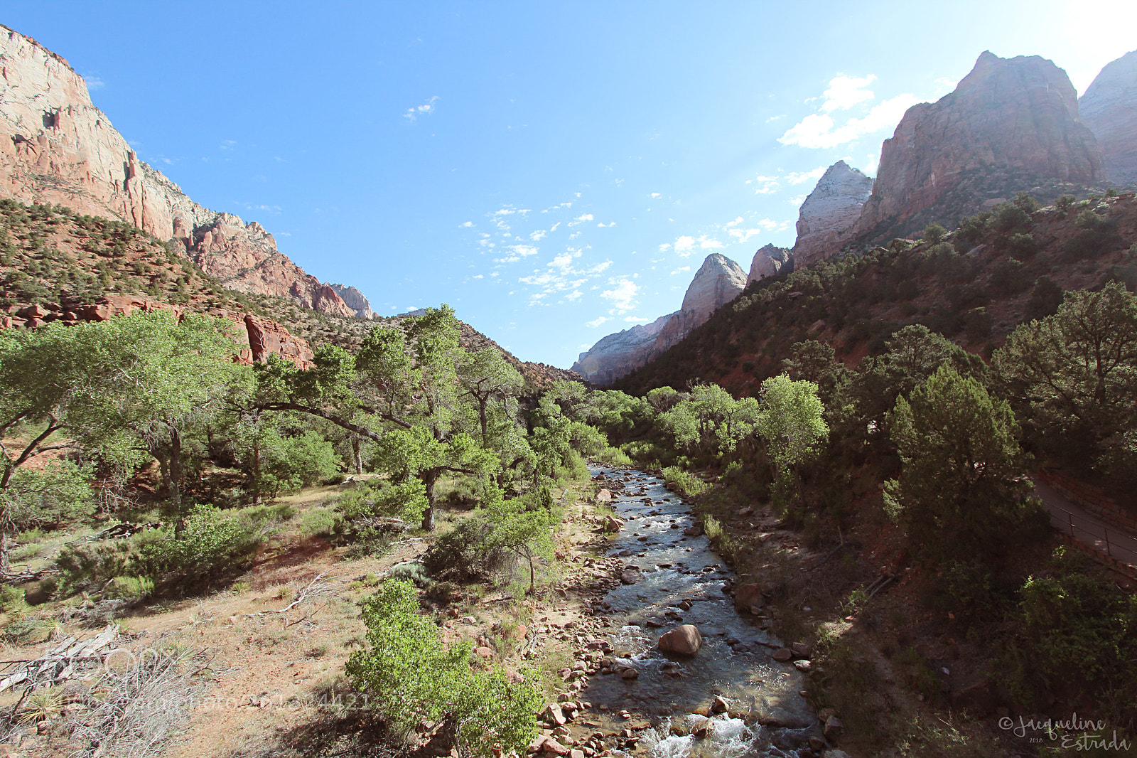 Canon EOS 600D (Rebel EOS T3i / EOS Kiss X5) sample photo. Zioncreek photography