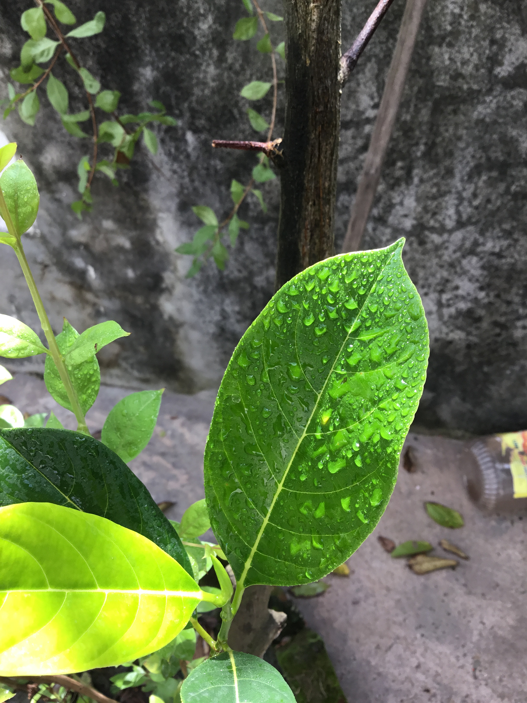 Apple iPad (5th generation) sample photo. Ac fa ef caebcf photography